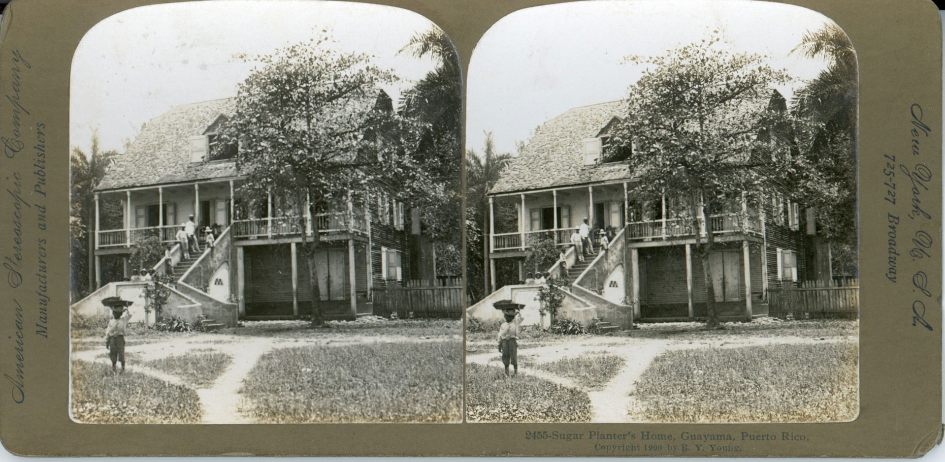 Guayama view 2