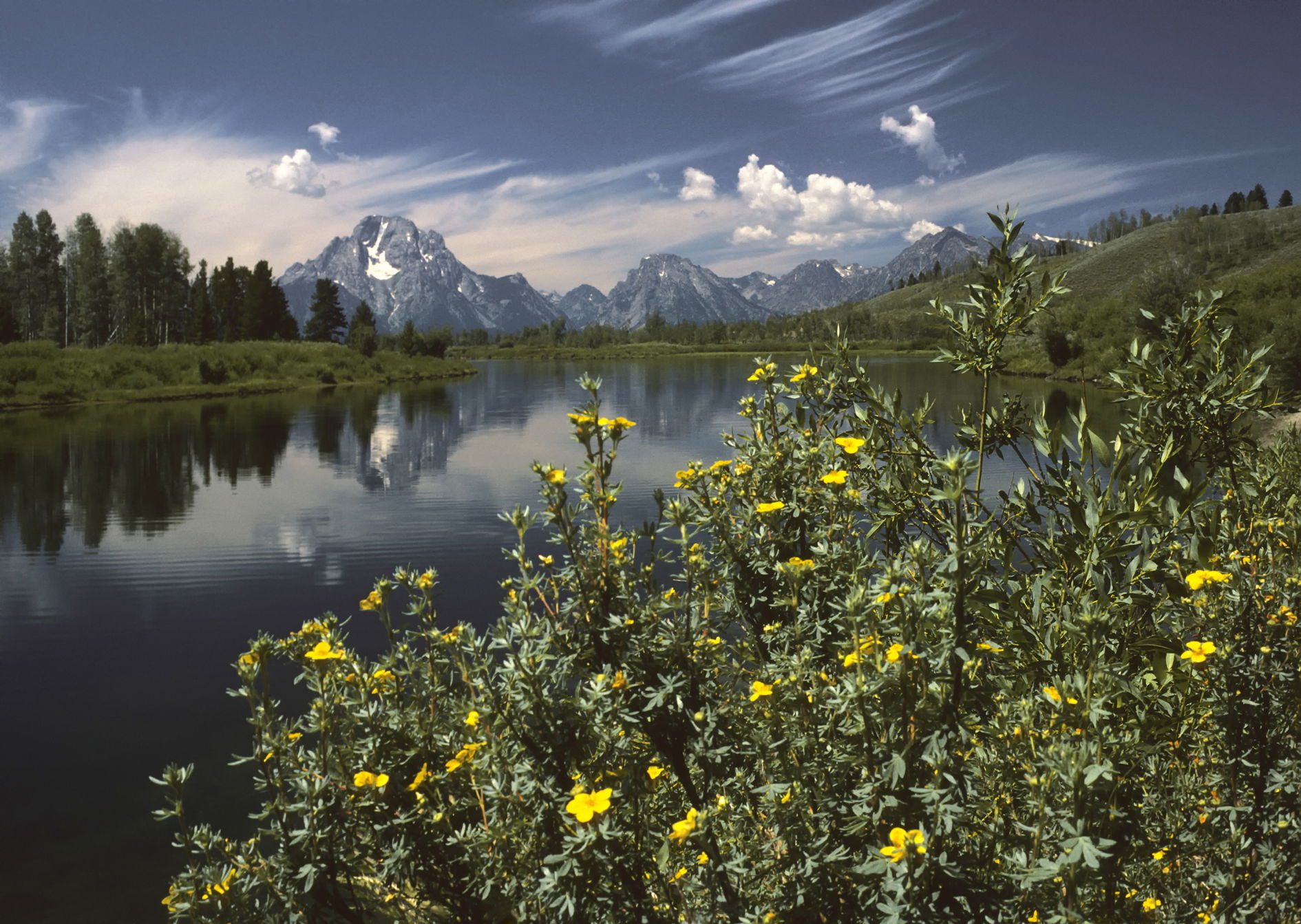 Oxbow Bend outlook in the Grand Teton National Park. View over …