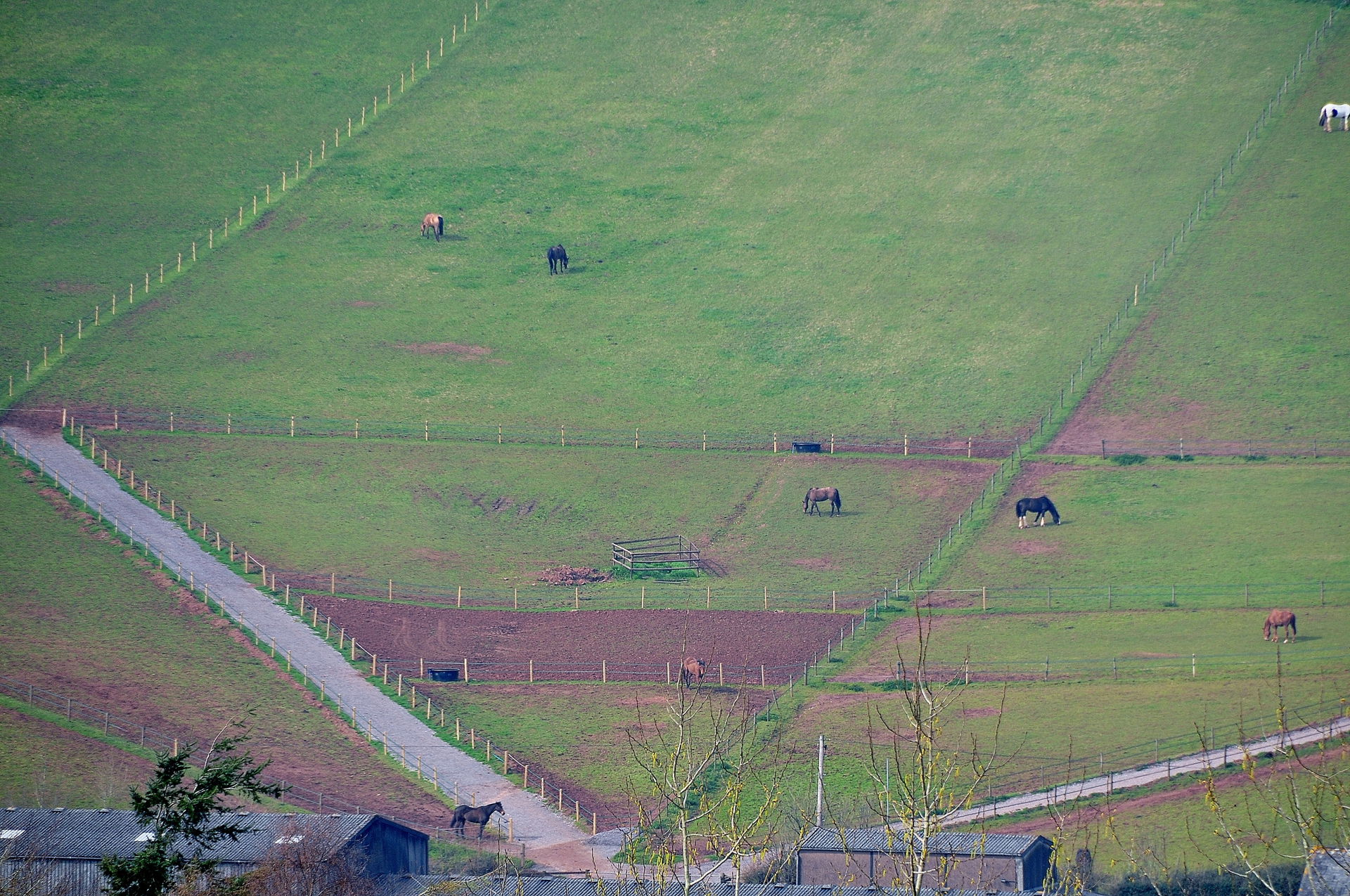 Mid Devon : Gingerland Fields