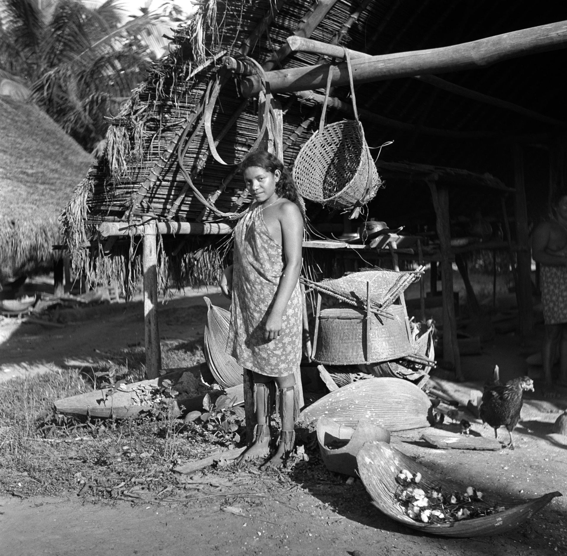 Collectie / Archief : Fotocollectie Van de Poll
Reportage / Ser…