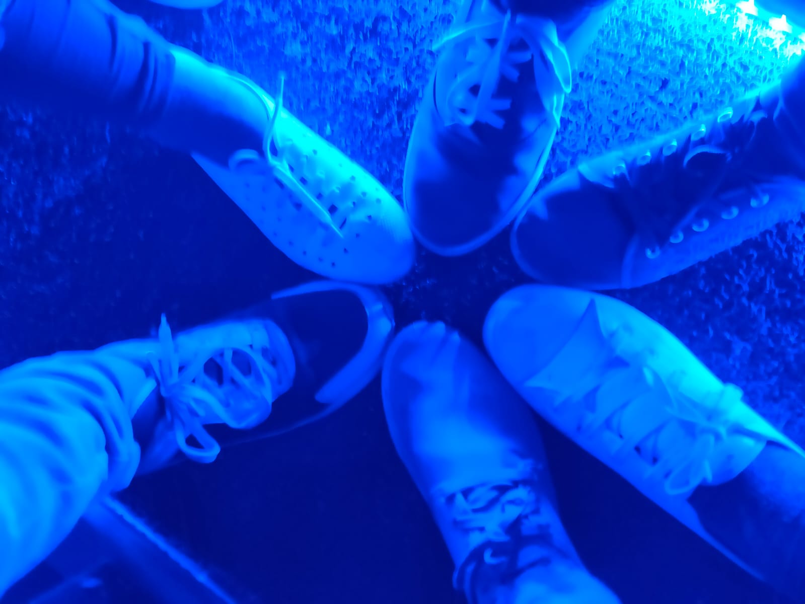 Friends