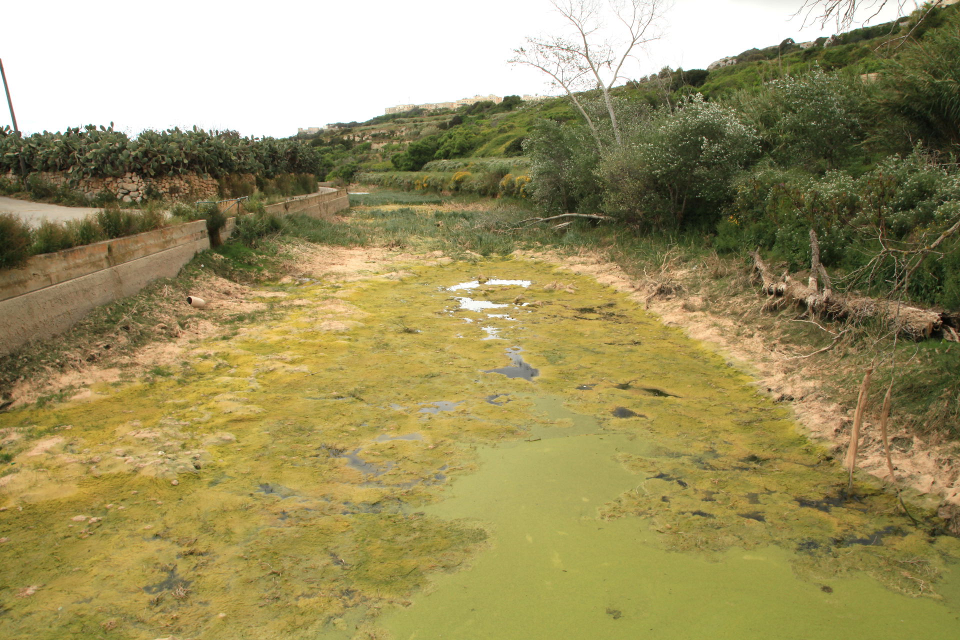 Chadwick Lakes, Wied il-Qlejgha in Rabat (Malta)