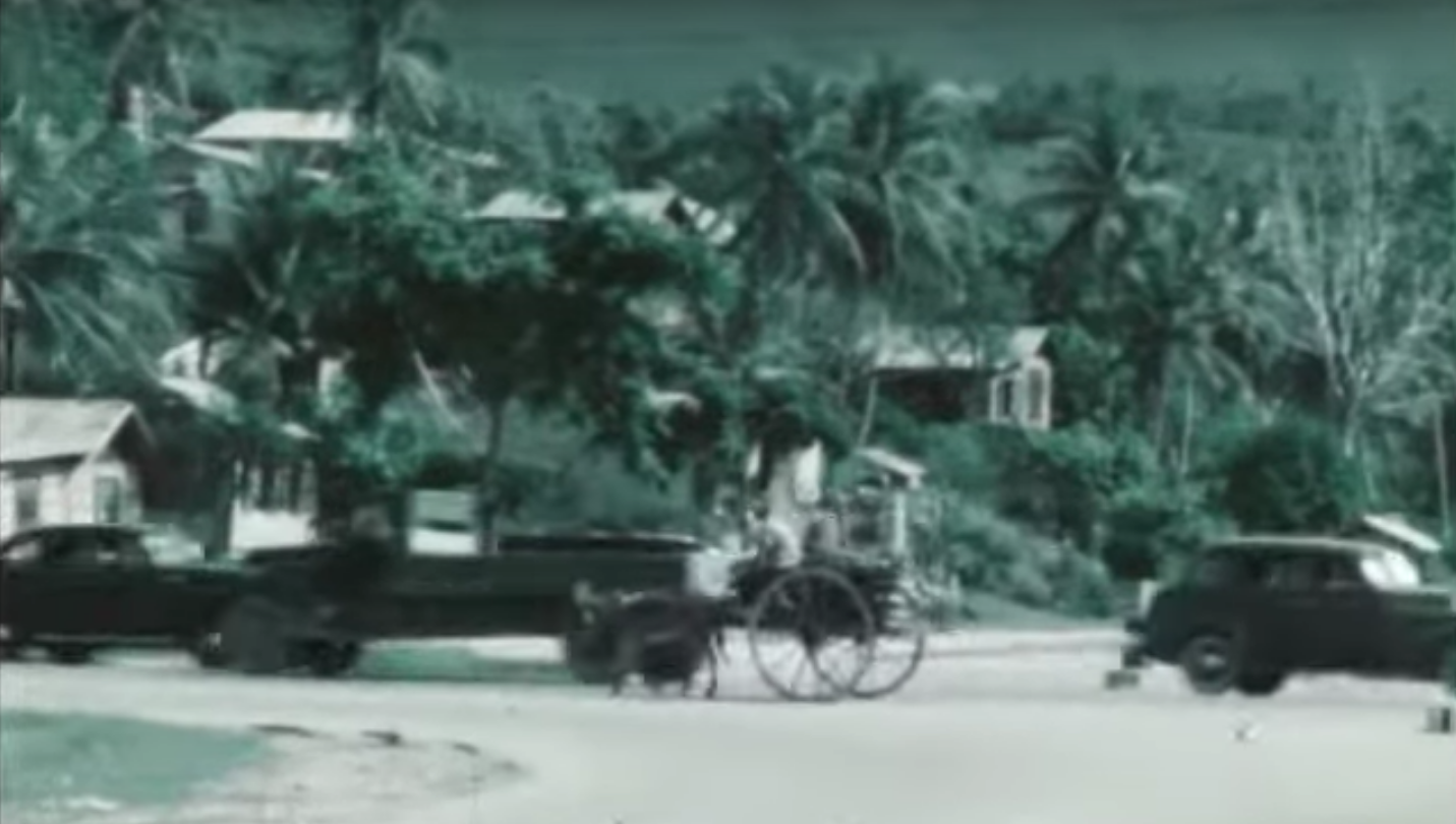 this frame from a YouTube video shows a donkey and cart on a ro…