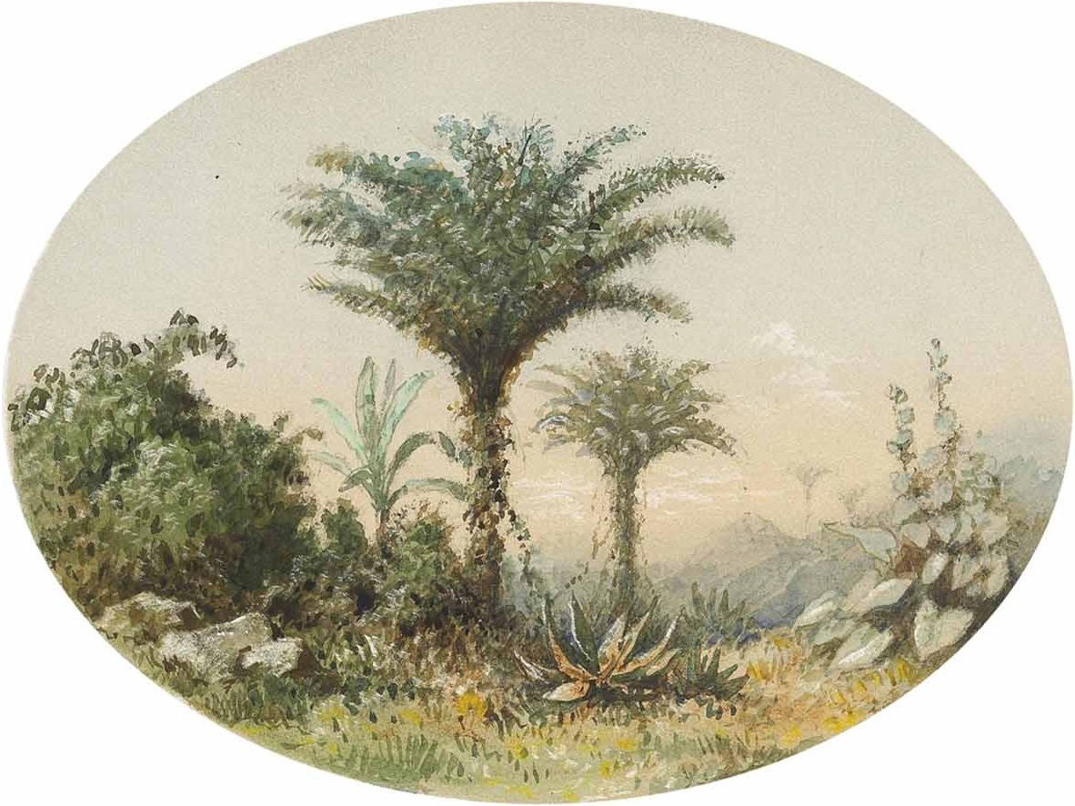Siparia view 3