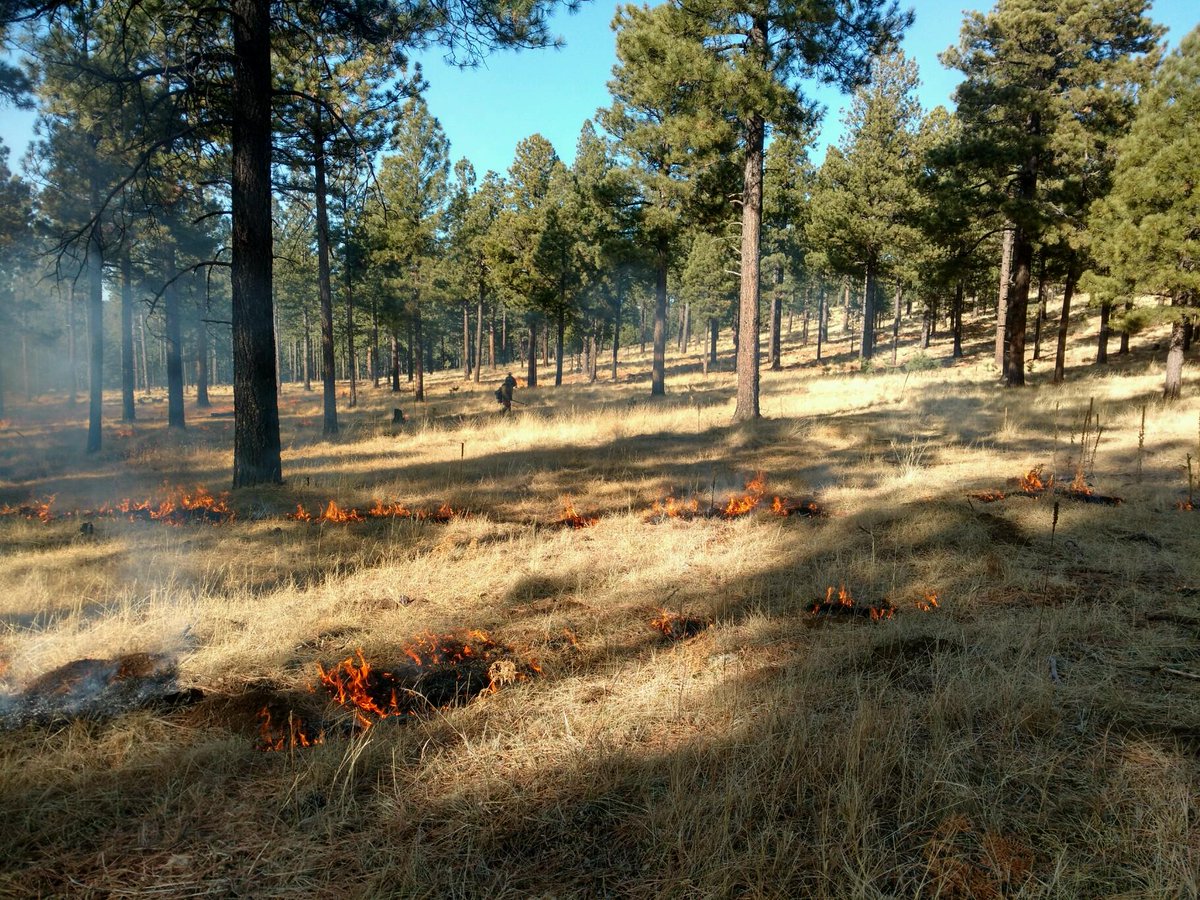 The Lakeside Ranger District completed the Sepulveda unit of th…