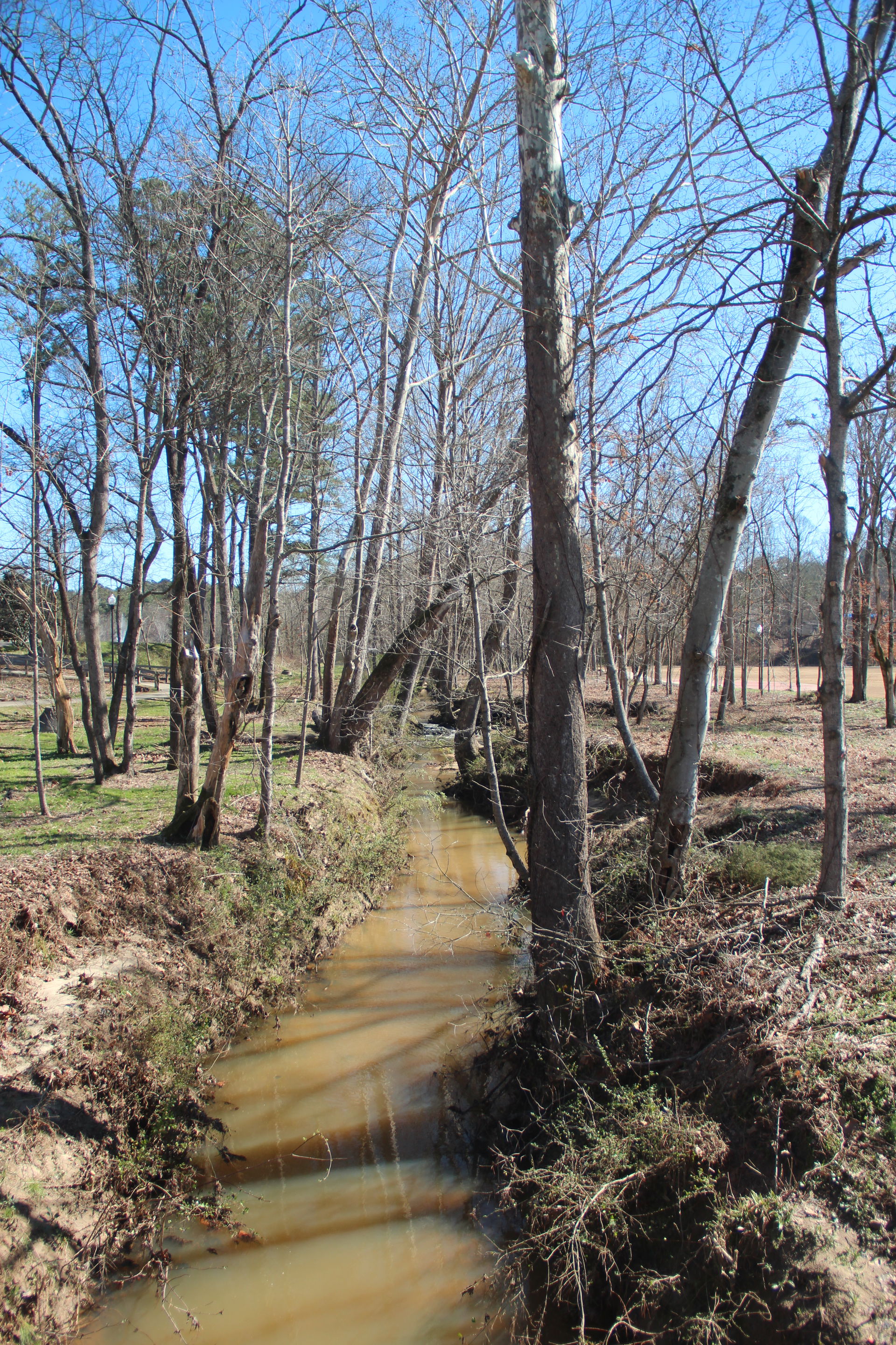 Tanyard Creek, Acworth GA