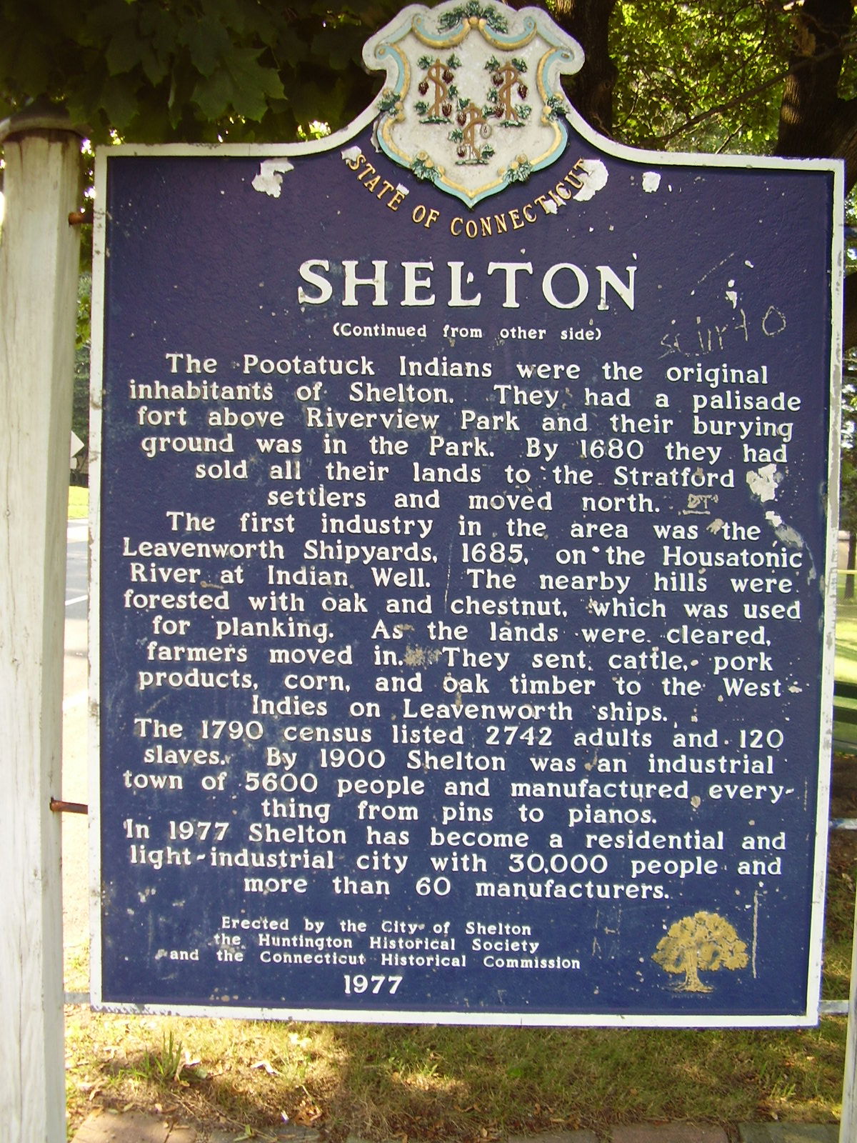 Shelton view 4