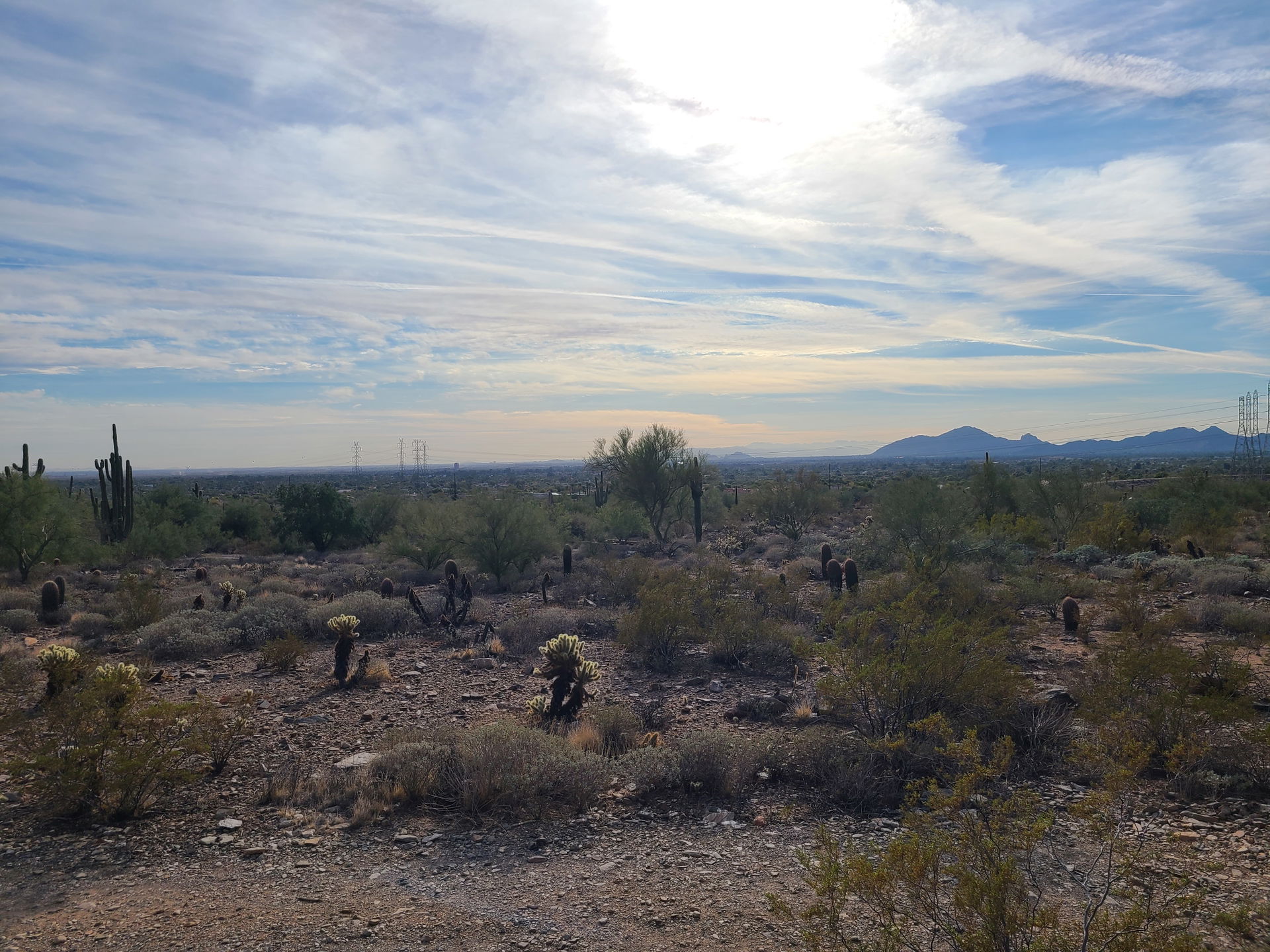 Sonoran Desert in Scottsdale, AZ just outside of Taliesin West