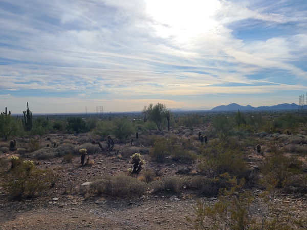 Scottsdale Trailer Corral