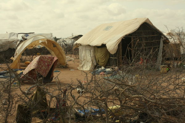 Dadaab