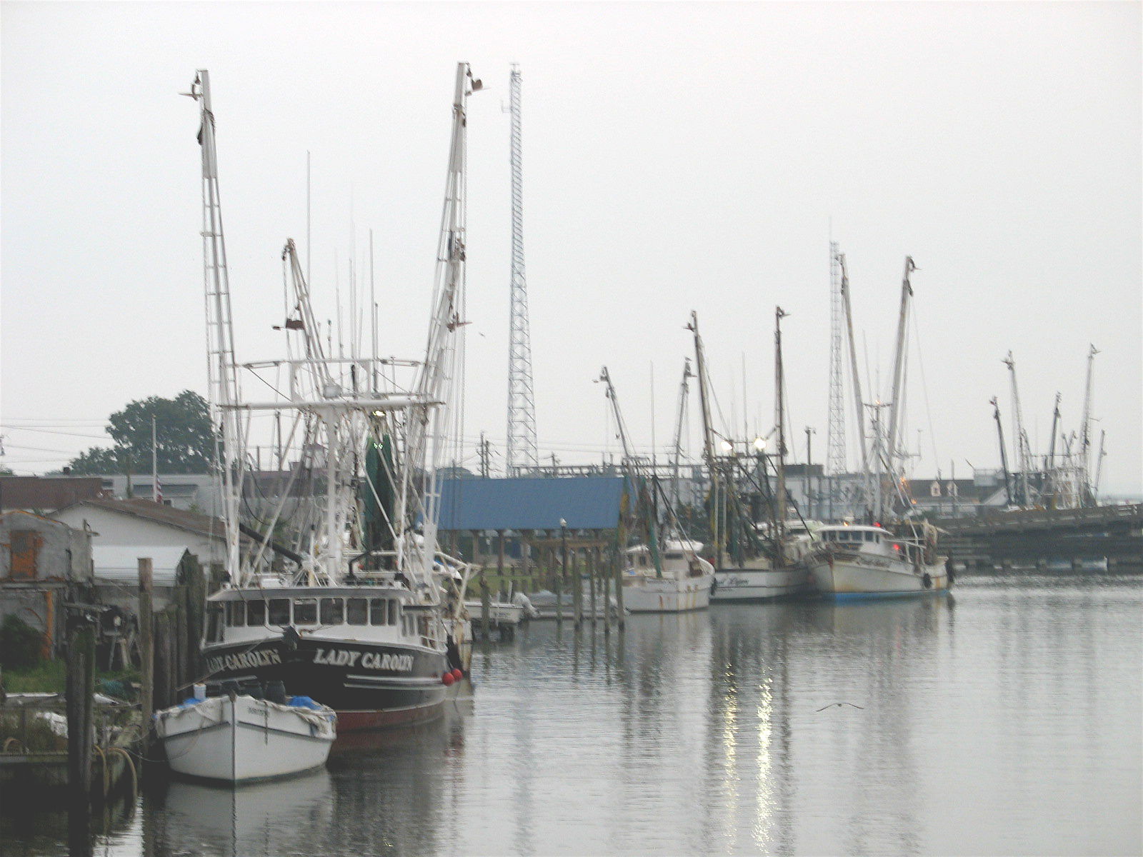 Chincoteague Island is perfect. No ubermen anywhere. Daggy. I…