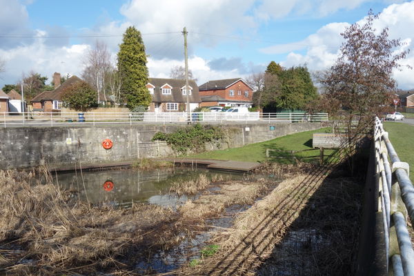 Kingshill