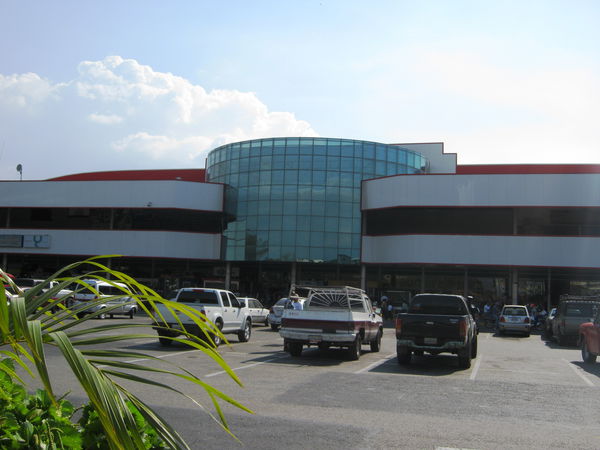 Palo Negro
