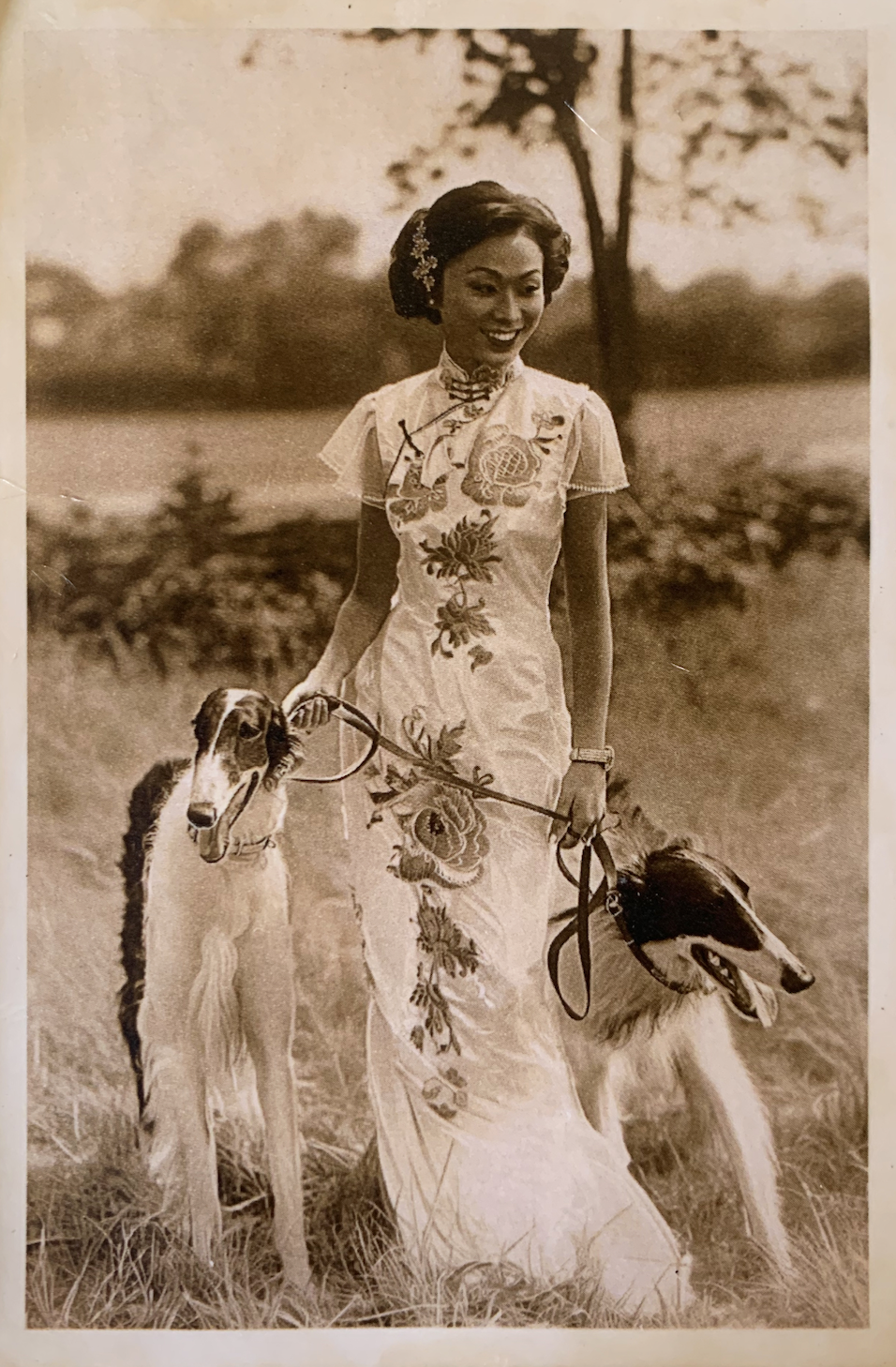 A Chinese woman wearing traditional qipao standing in the bushl…