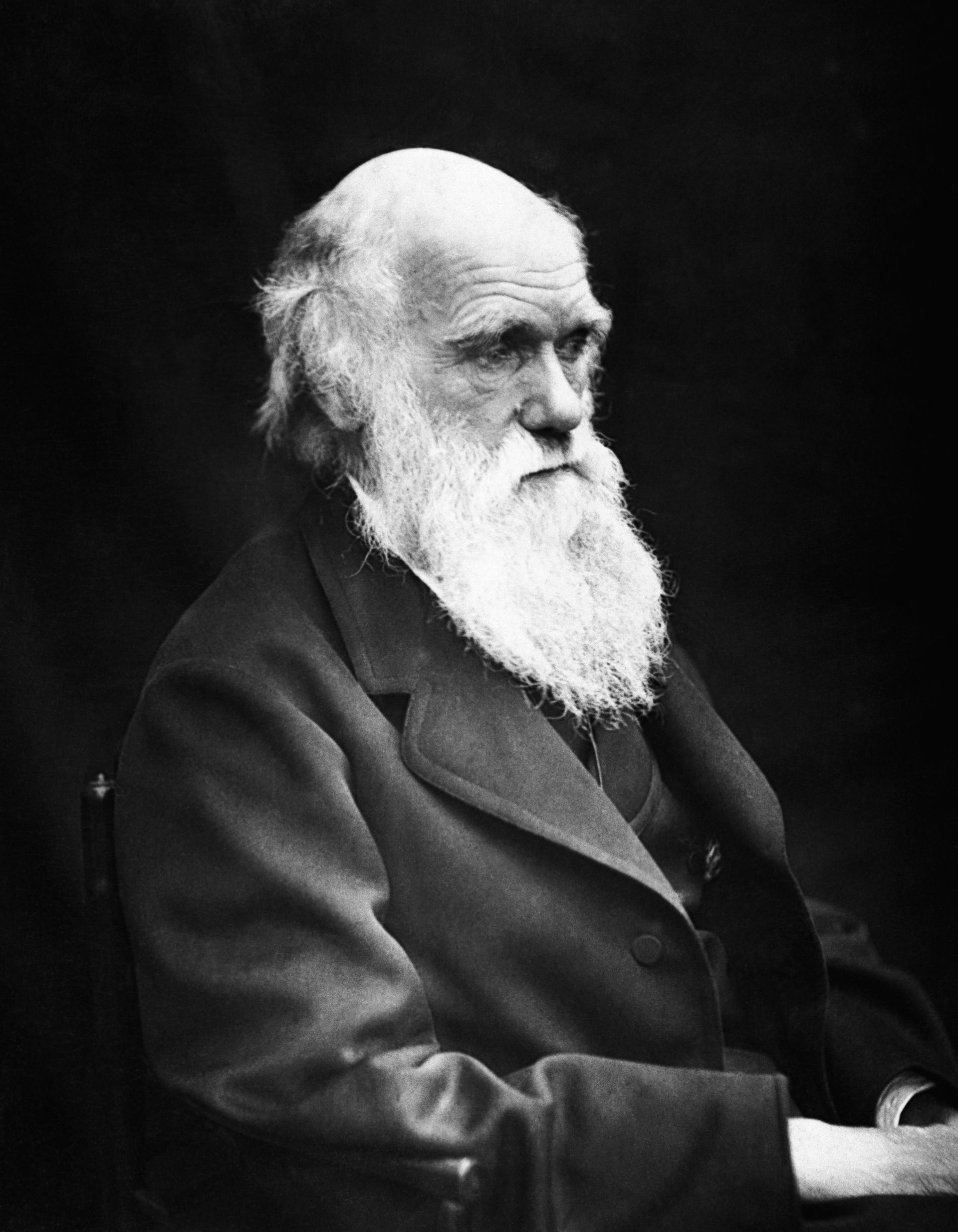 Charles Darwin (1809–1882) in his later years. This image is th…