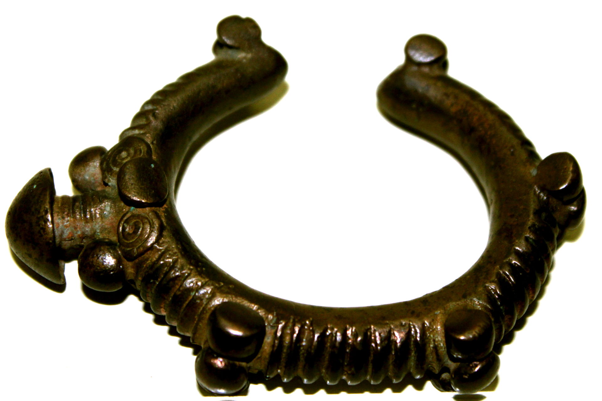 Burma formalı qolbağı, Nərgizava, Ağsu
