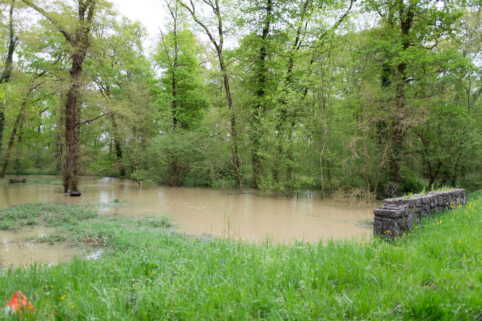 Crue de l'Aran à Urt.