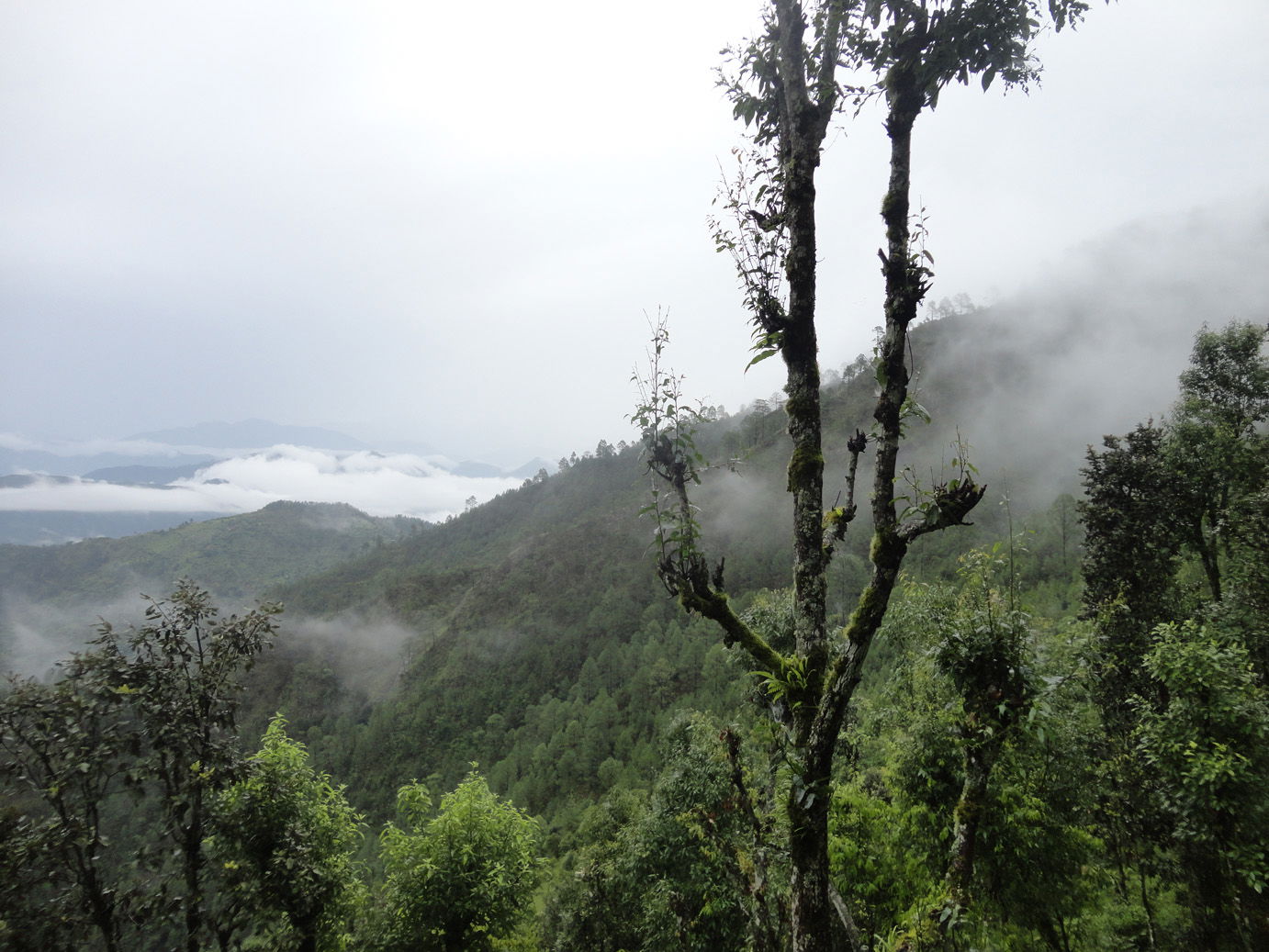 Salyan view 3