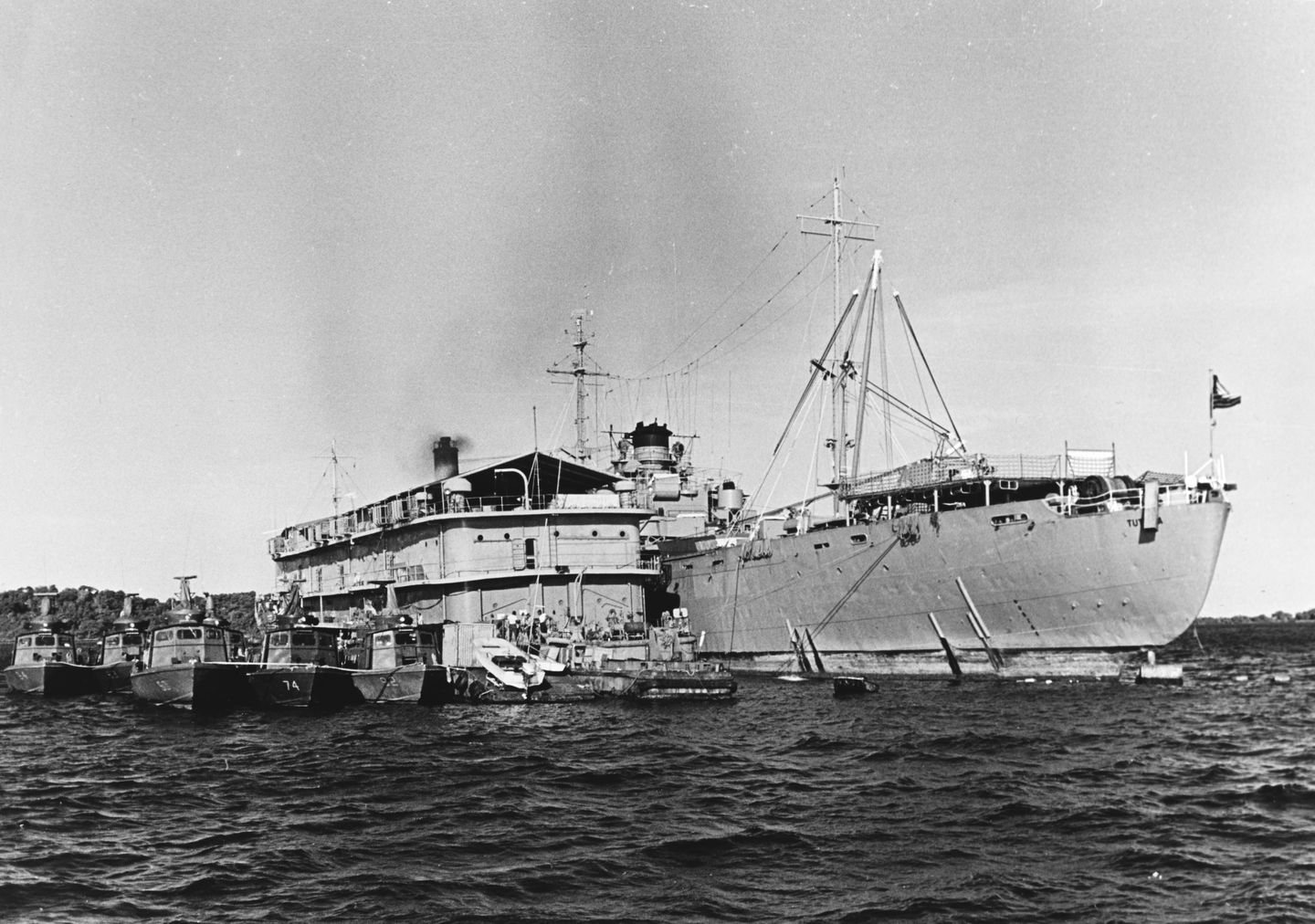 Tutulia