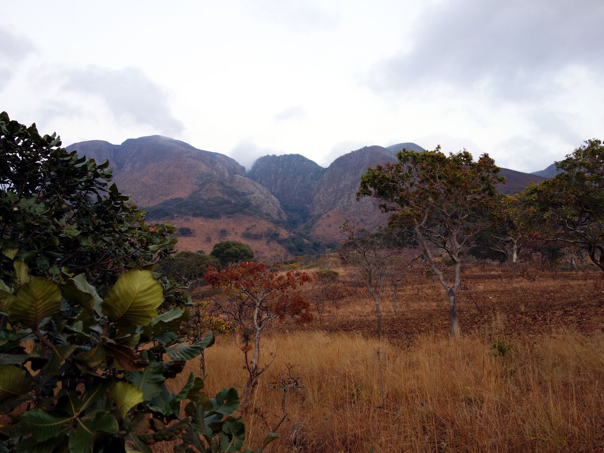 View of the Mafinga Hills from near the town of Chisenga in Mal…