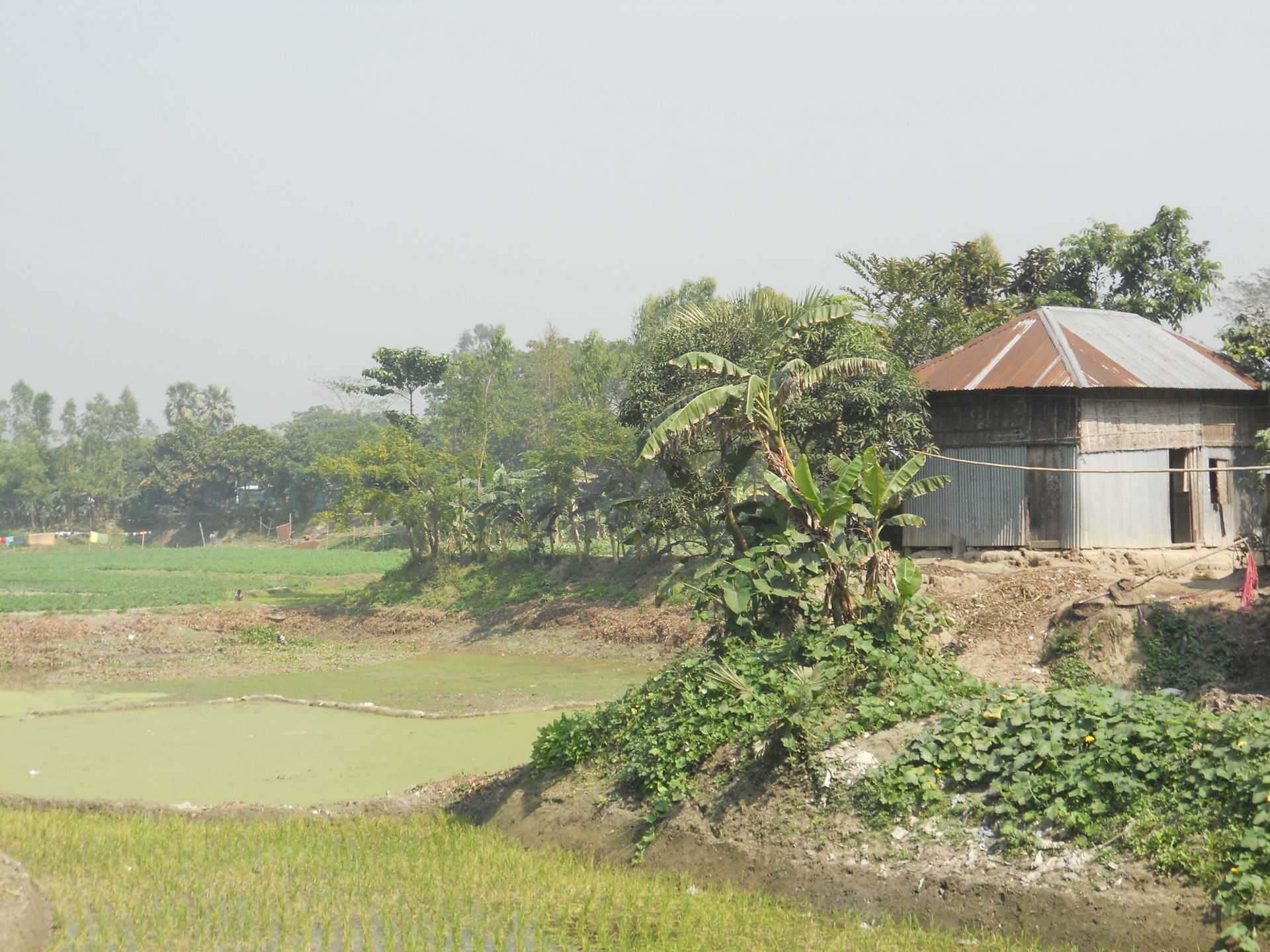 Villages in Bangladesh