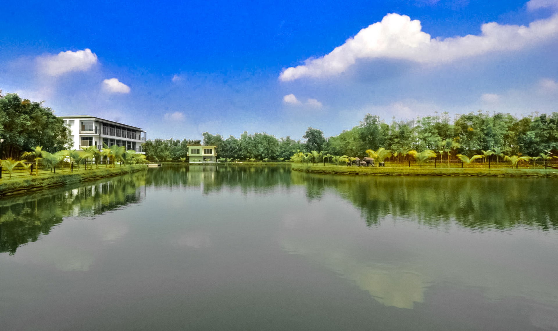 Narayanganj view 4