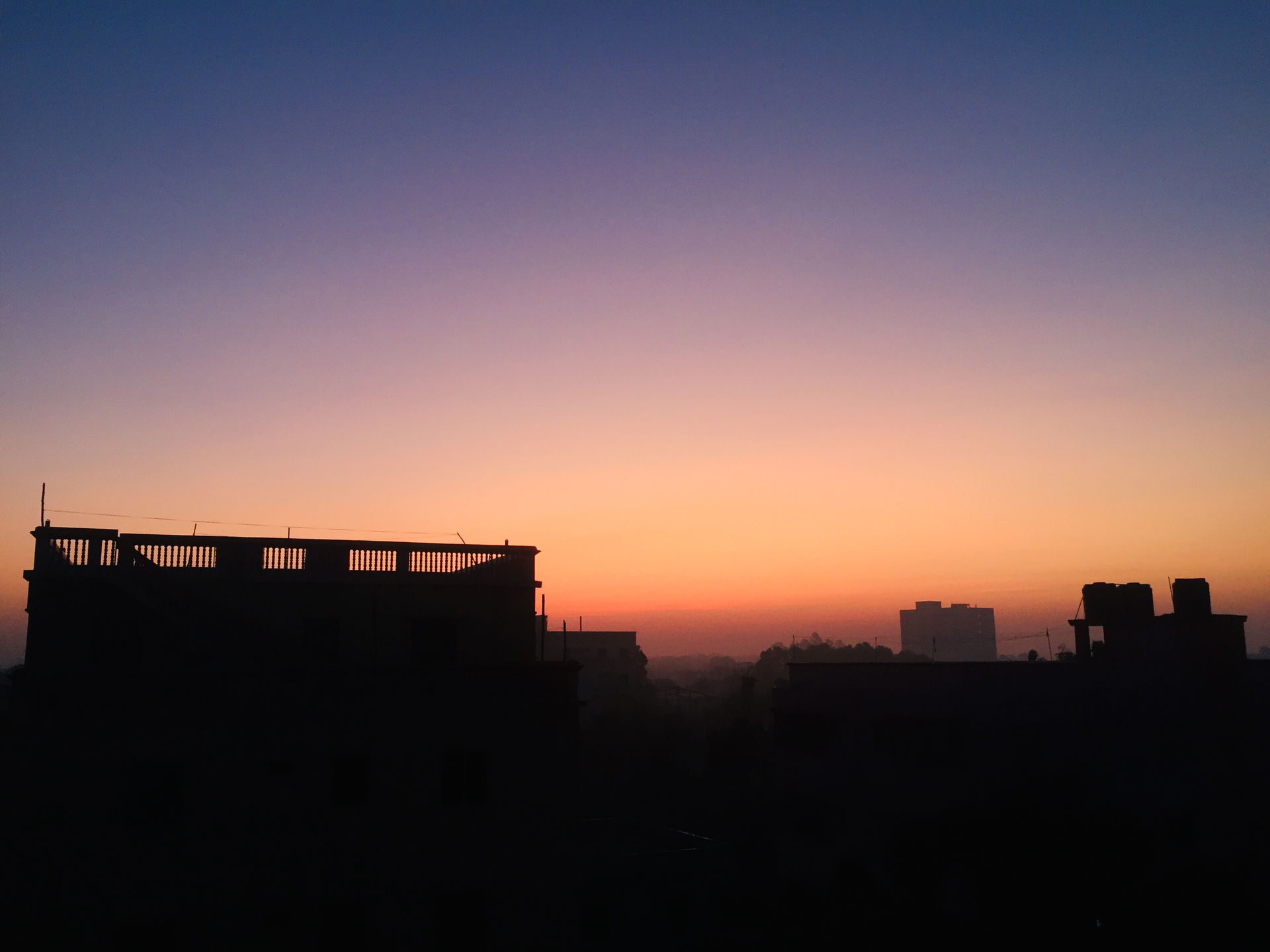 Foggy Morning