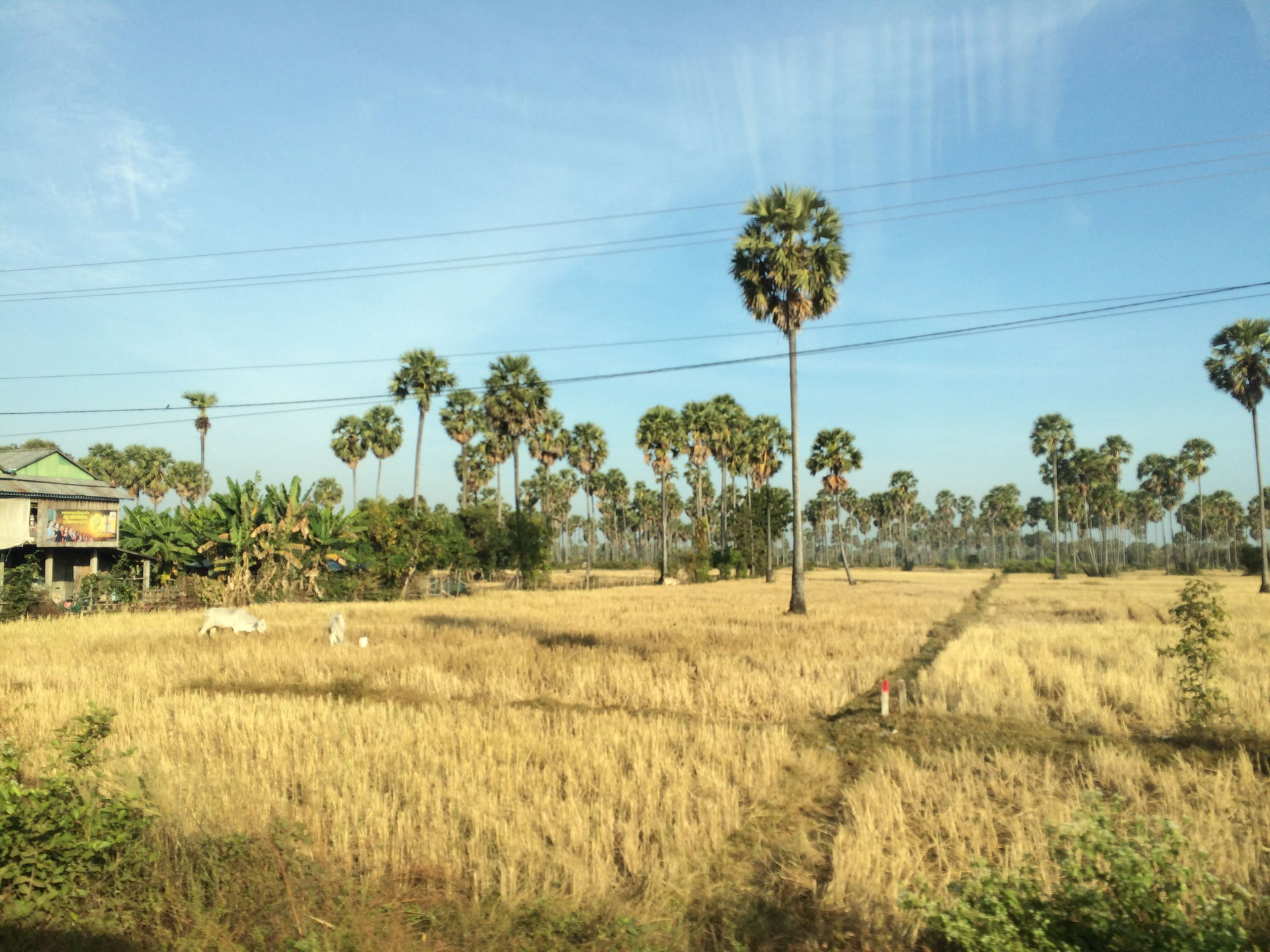 travel
