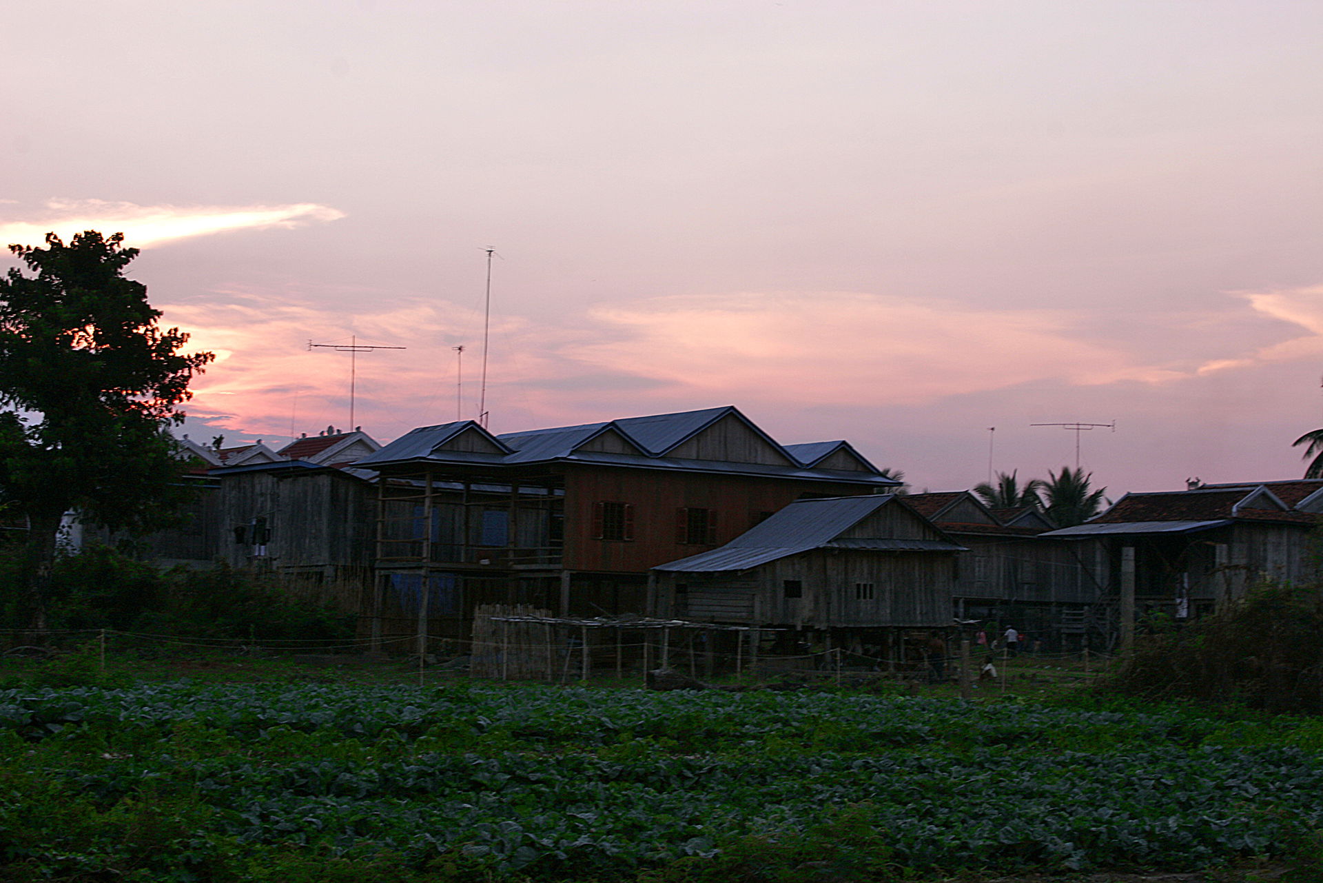 Sunset over houses on the outskirts of Kratié town, Cambodia