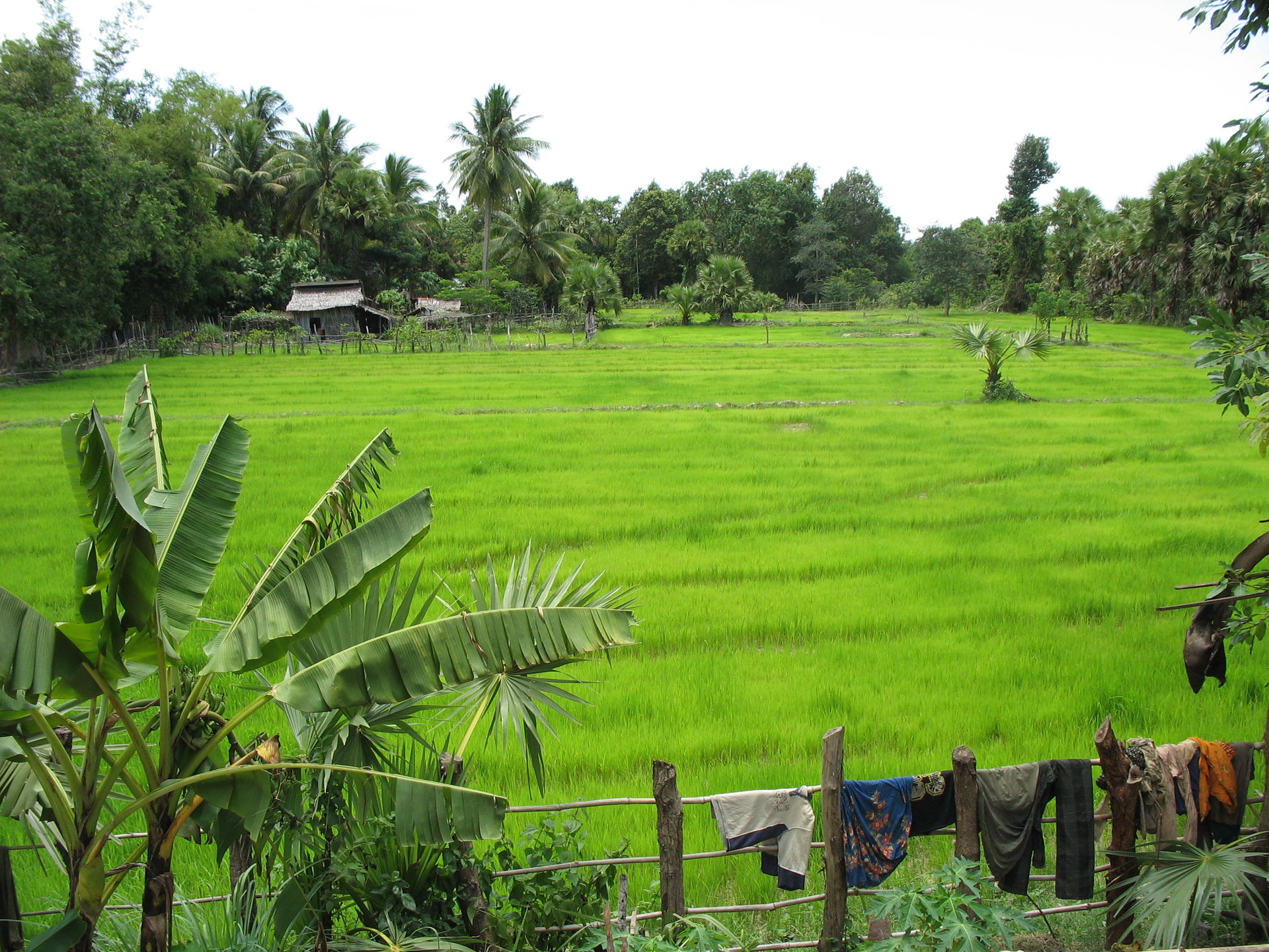Pursat, Cambodia