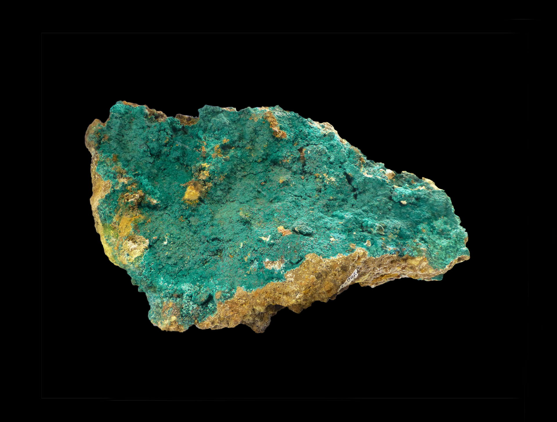 Reichenbachite (Kipushi, Katanga, RDC). Natur Musee, Luxembourg
