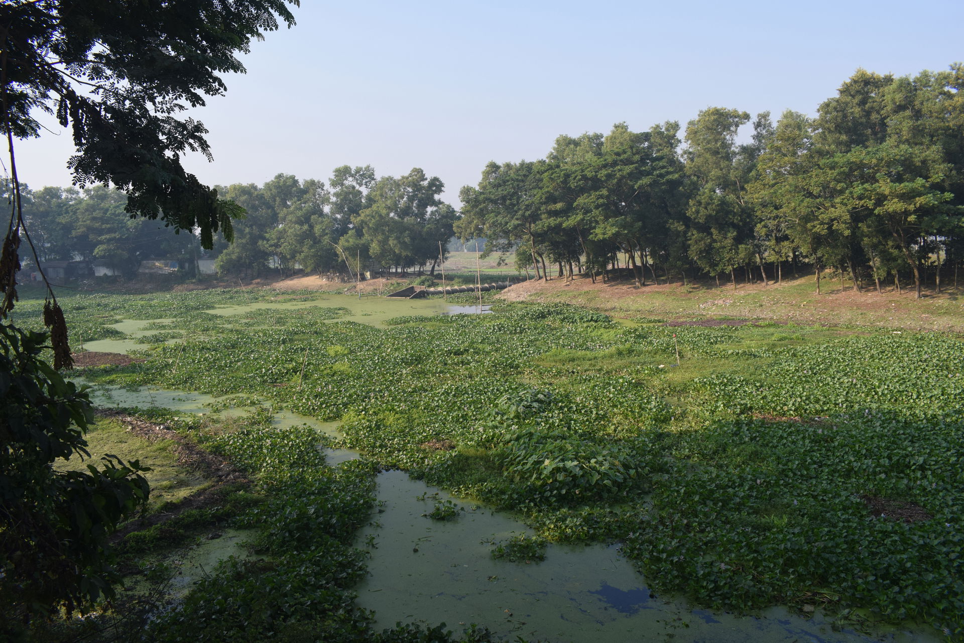 Dhulia River near Rajurbajar at Netrakona, Bangladesh