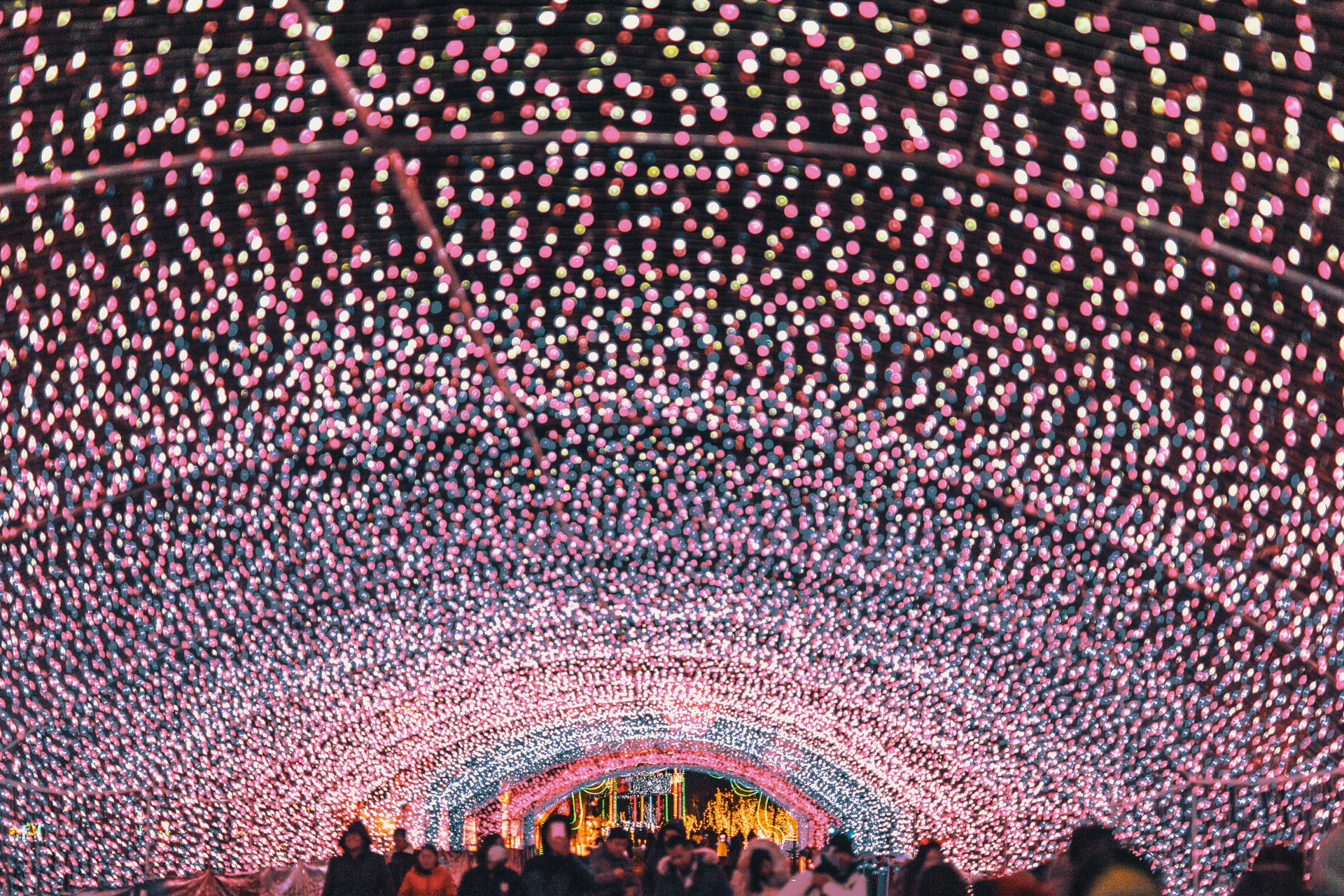 Photo from the light festival in January