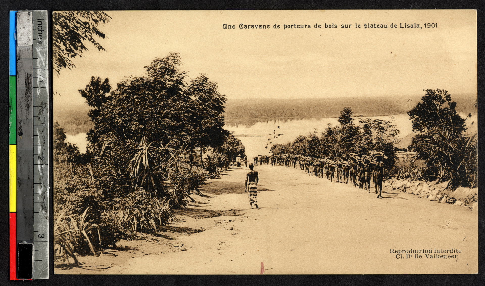 Porters carrying wood, Lisala, Congo, ca.1901
"Une Caravan de p…