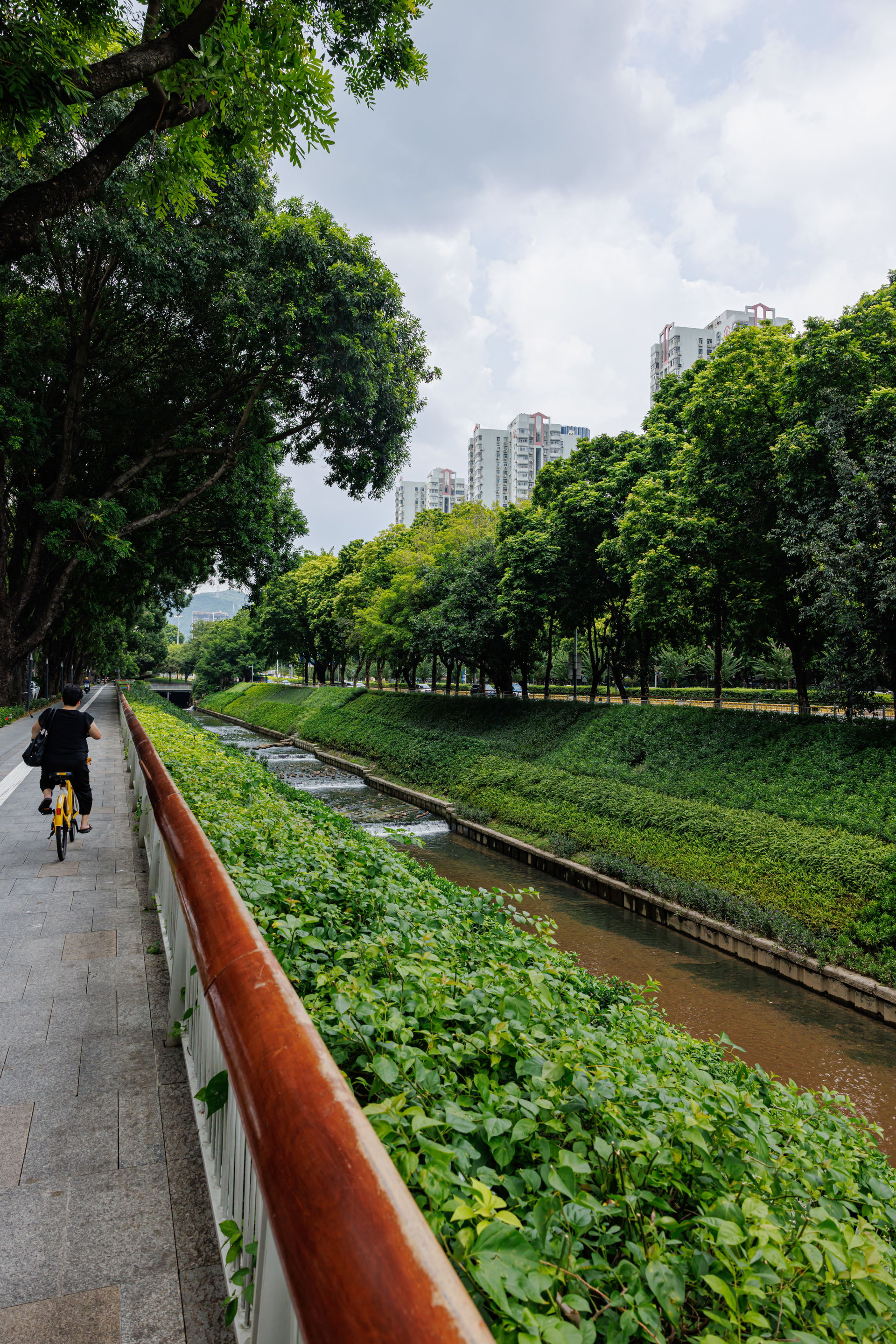 XINZHOU RIVER, SHENZHEN