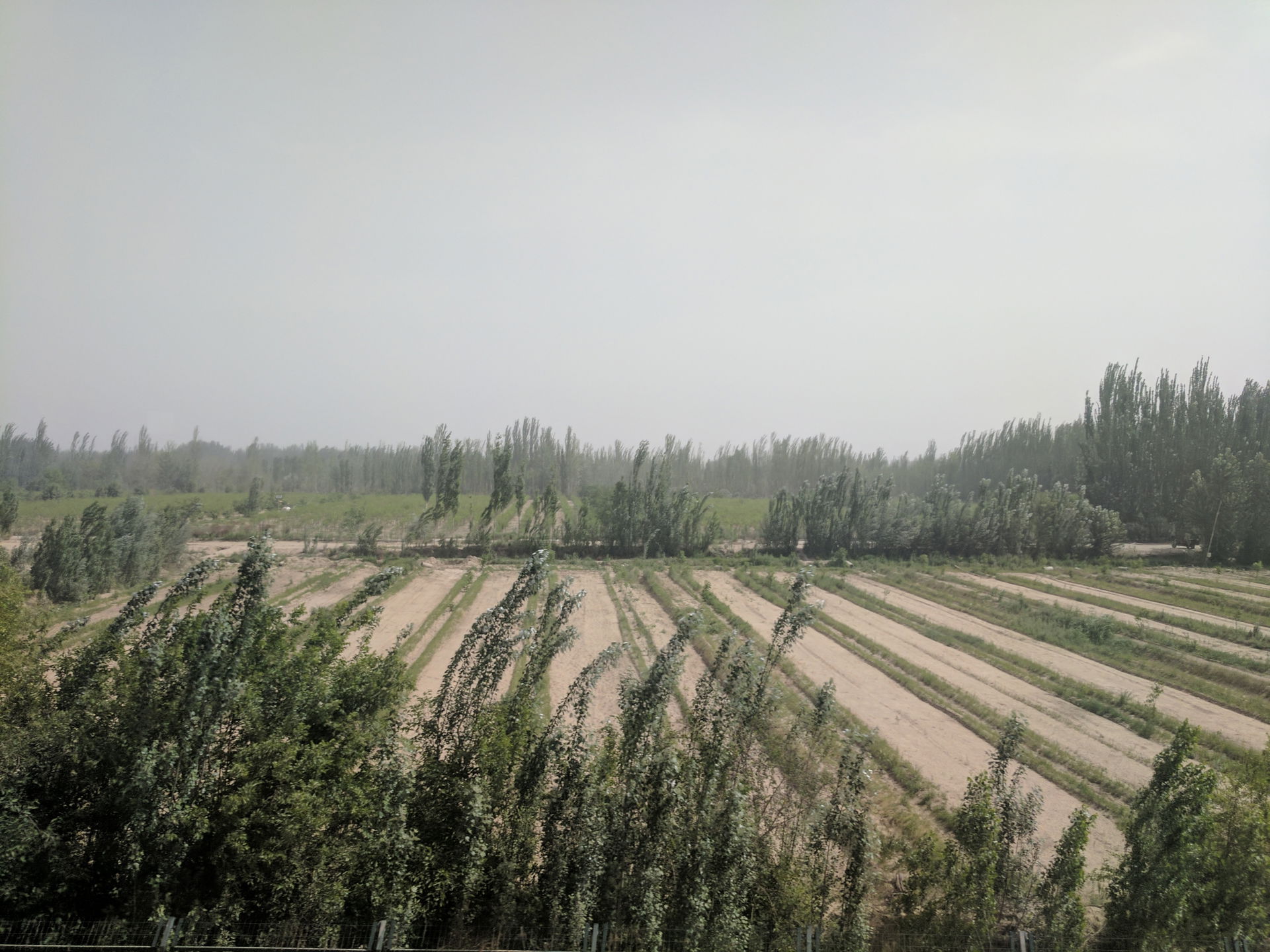 Hotan farmland from the train