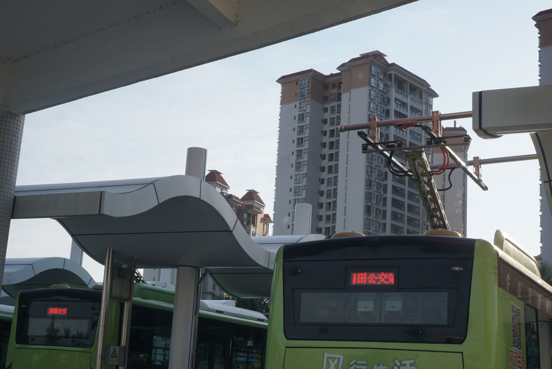 Zhongtong buses charging with pantograph at Haitian Terminal, Z…