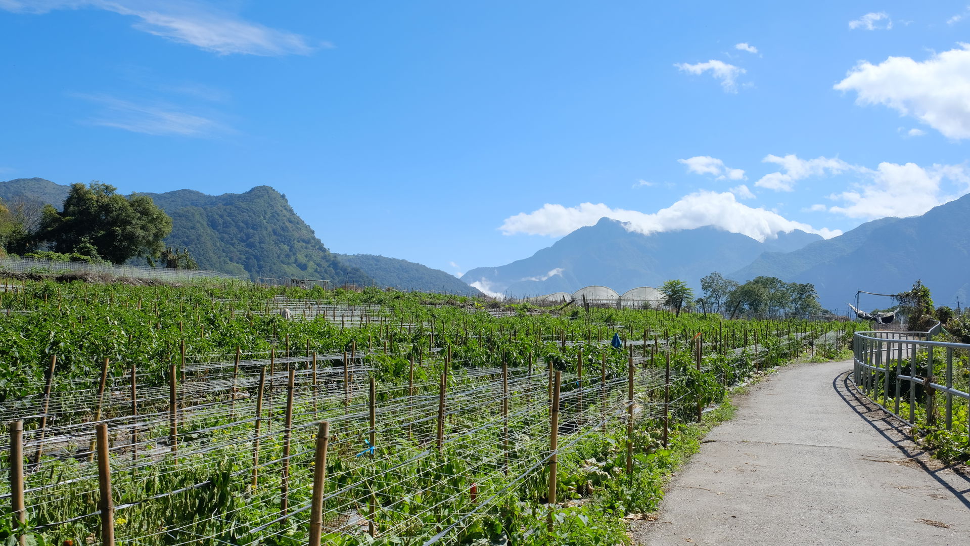 2023 台灣花蓮縣秀林鄉西寶 Sibao, Xiulin Township, Hualien, Taiwan