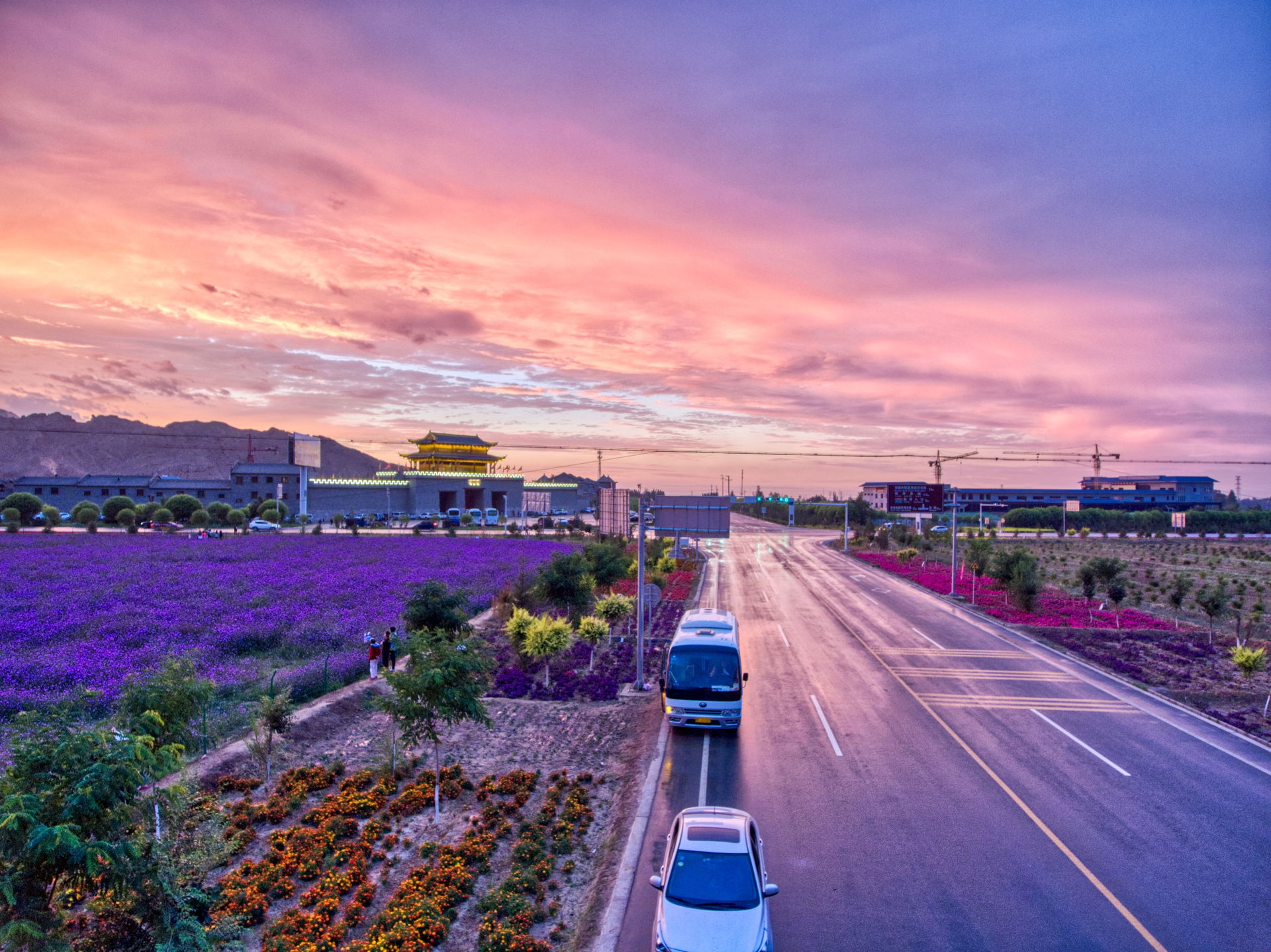 lavender and afterglow in zhangye