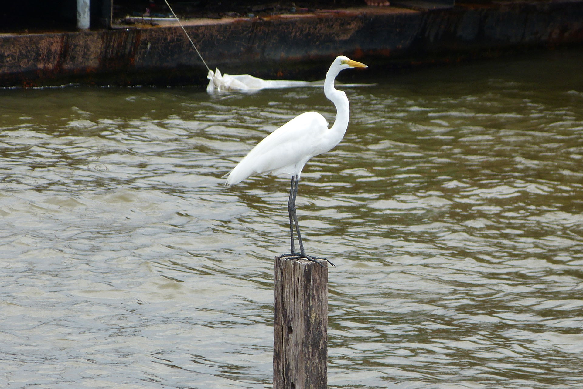 Foto feita durante a passagem pela Orla de Santarém no Pará.