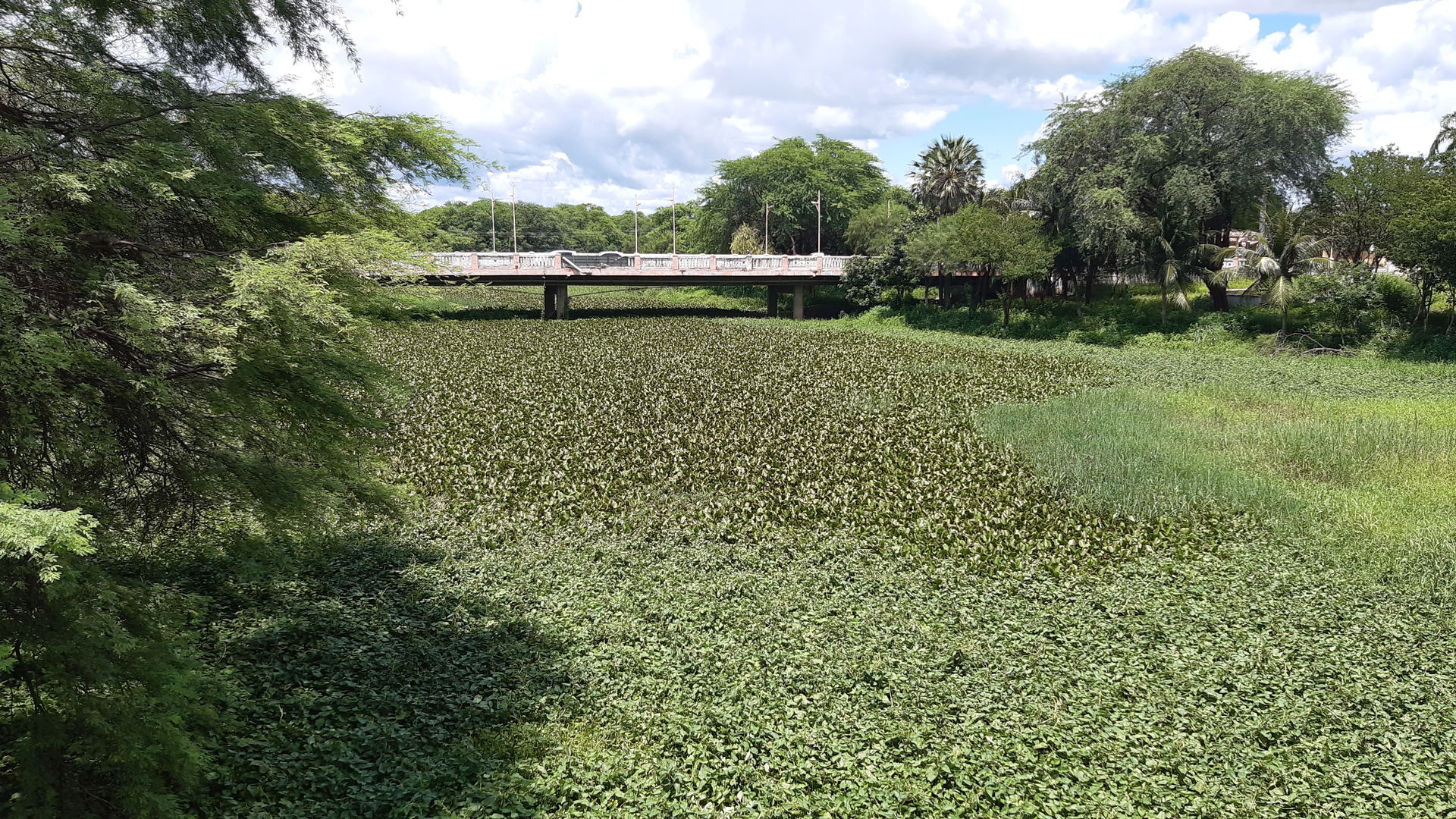 Apr2024. Mossoró, state of Rio Grande do Norte, Brazil