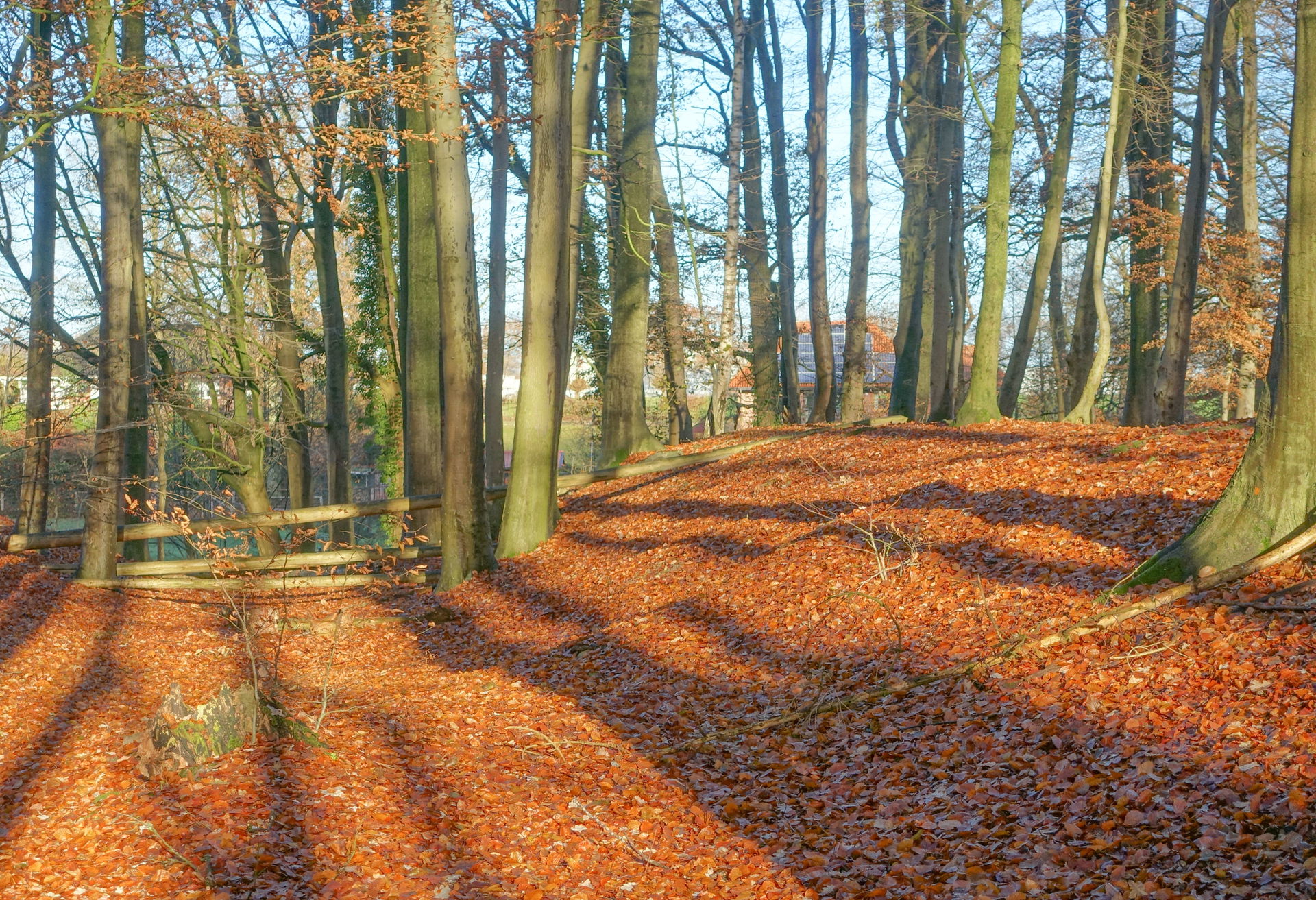 Die Befestigung des Königshofs Sittensen im Westen