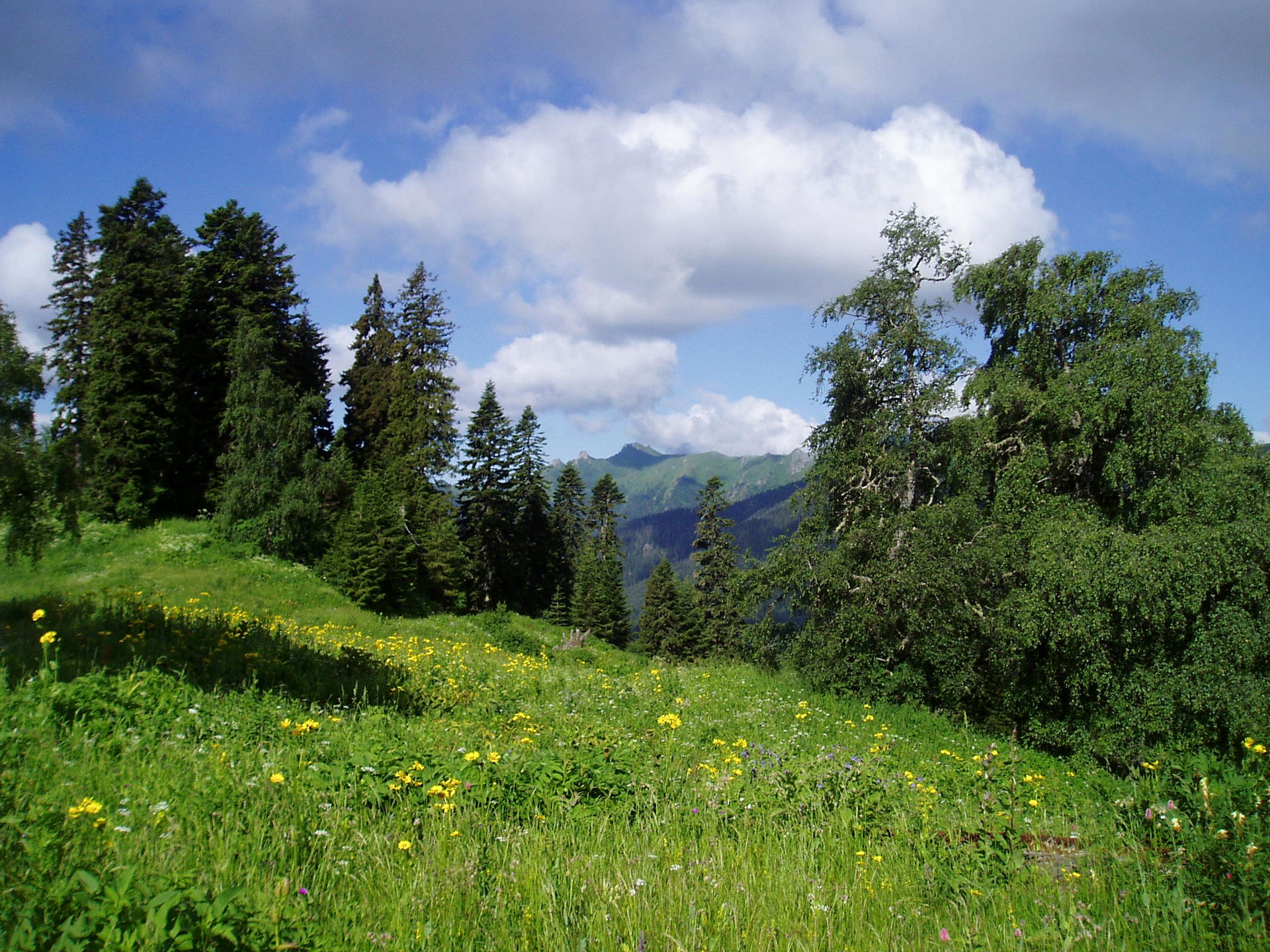Abastumani