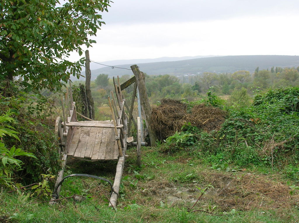 Cart in Akhalgori