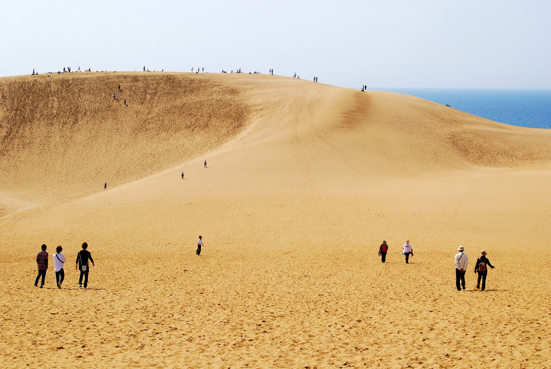 Tottori Sakyu ( Tottori Sand Dune ) in Tottori Prefecture, Japan