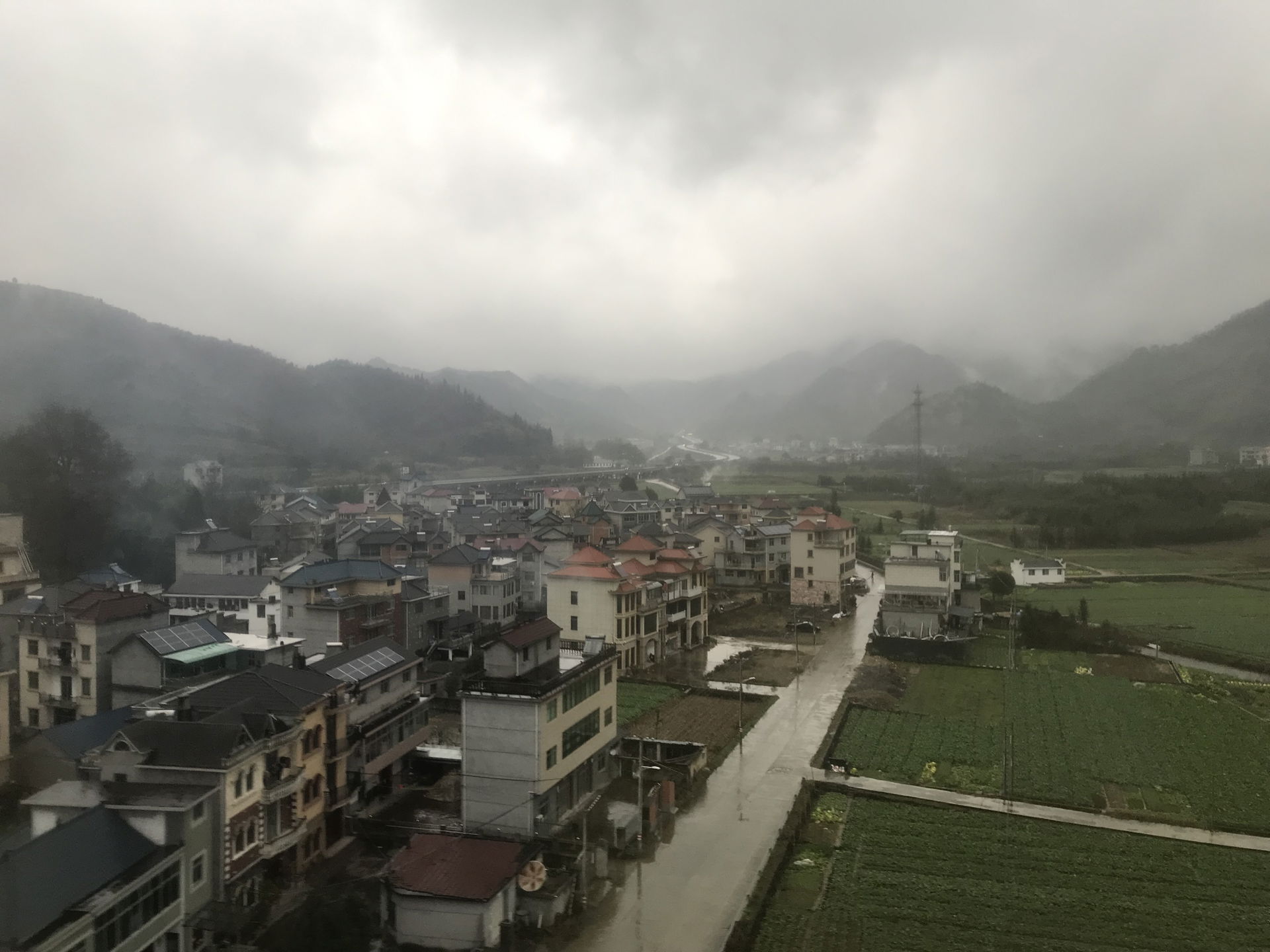 201901 Yanglin, Kaihua
