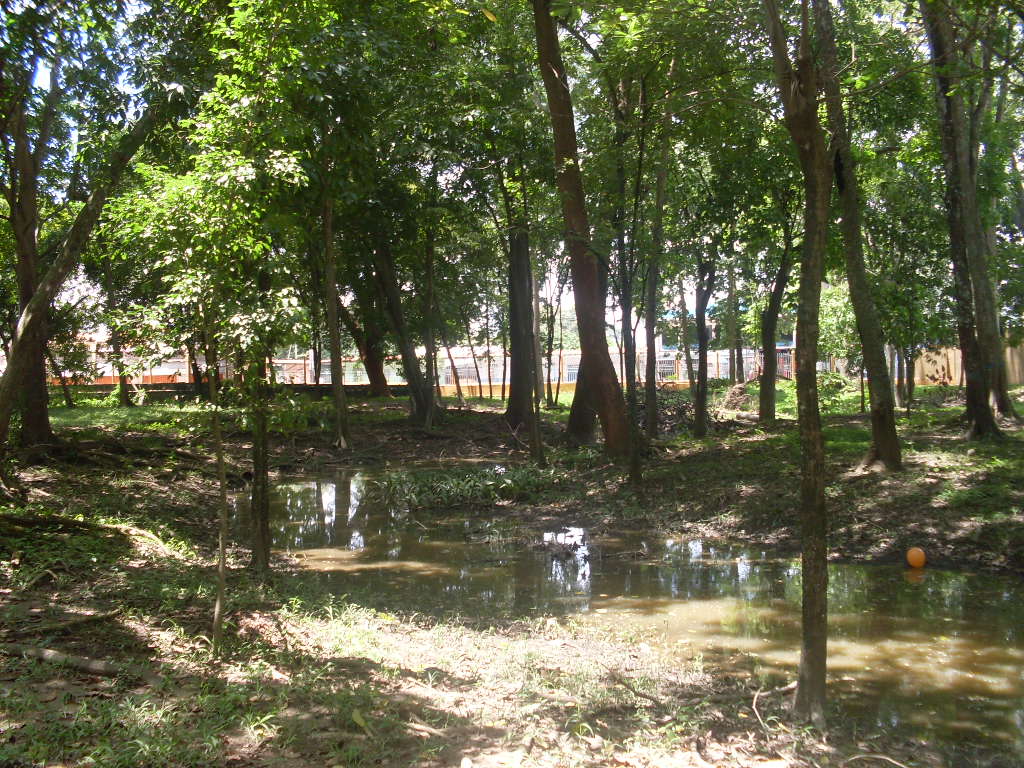 Guanare en el estado Portuguesa - Venezuela (2010)