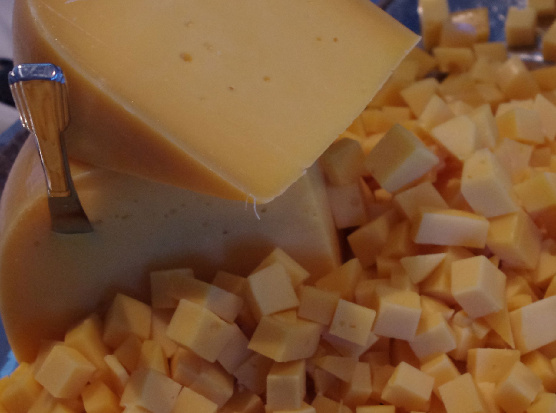 Gouda siers