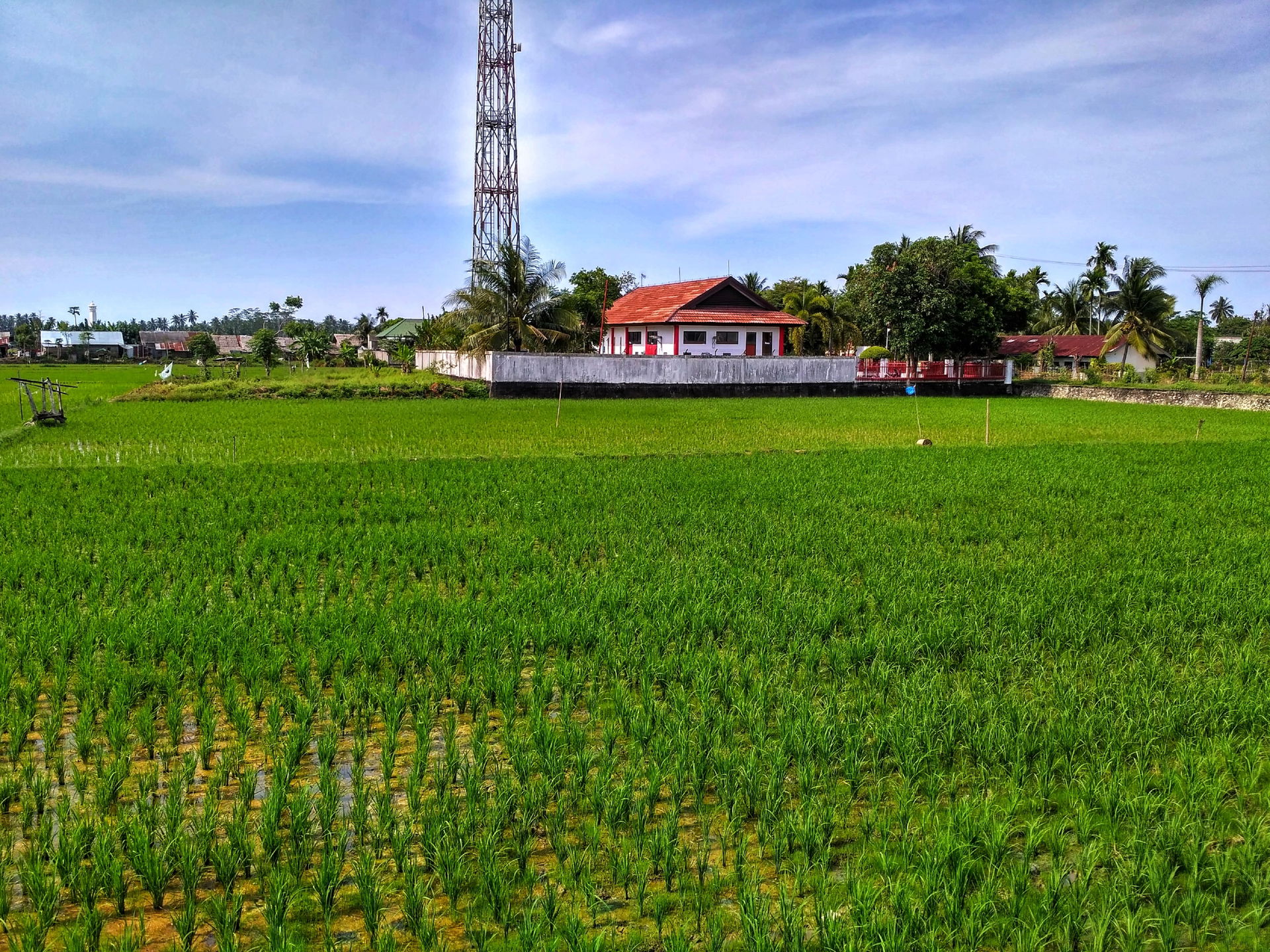 Aceh Utara