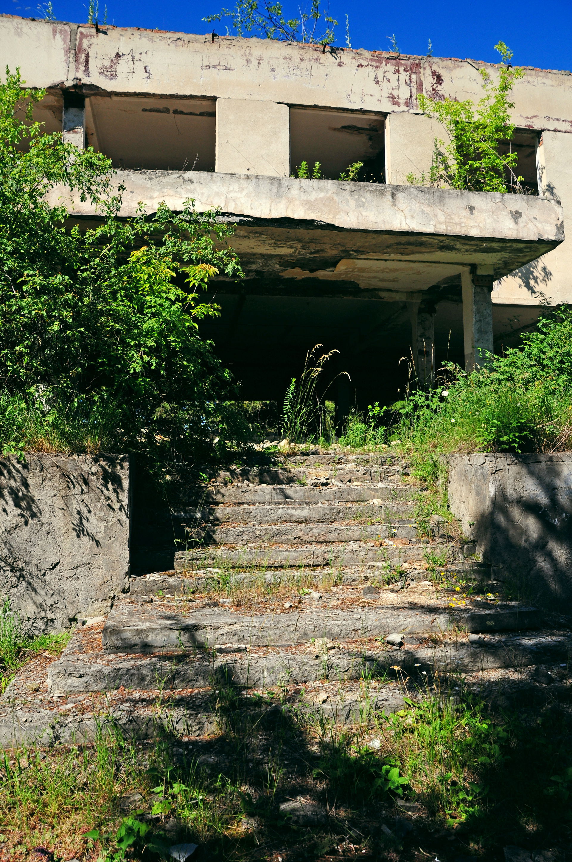 18668

Kazreti